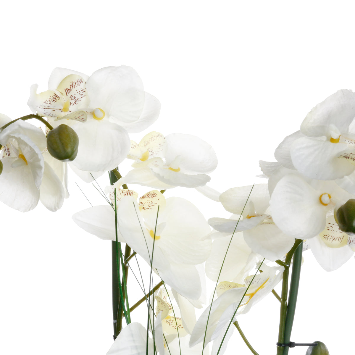 Floare decorativa, orhidee cu ghiveci alb - Atmosphera
