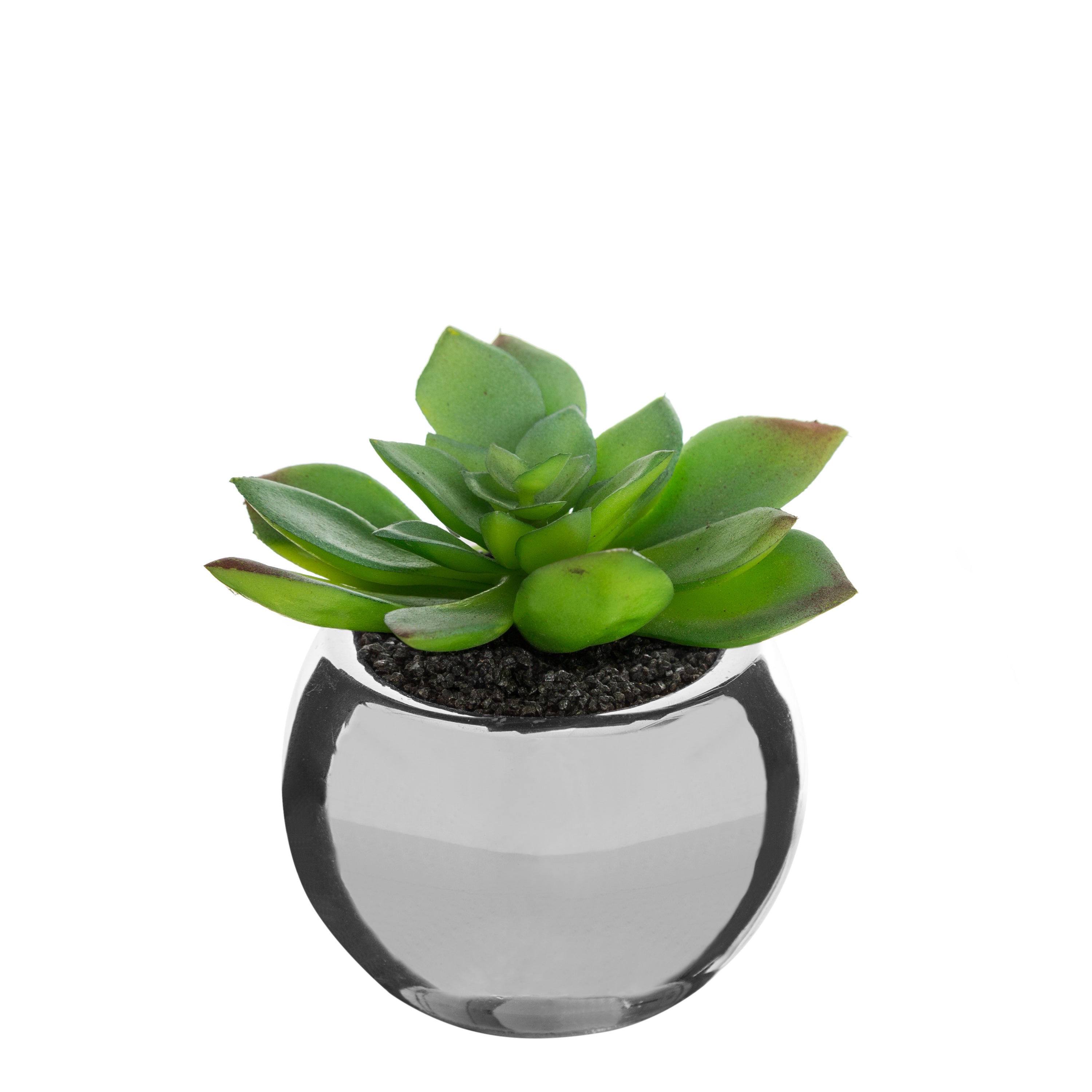 Ghiveci planta verde h.13 - Atmosphera