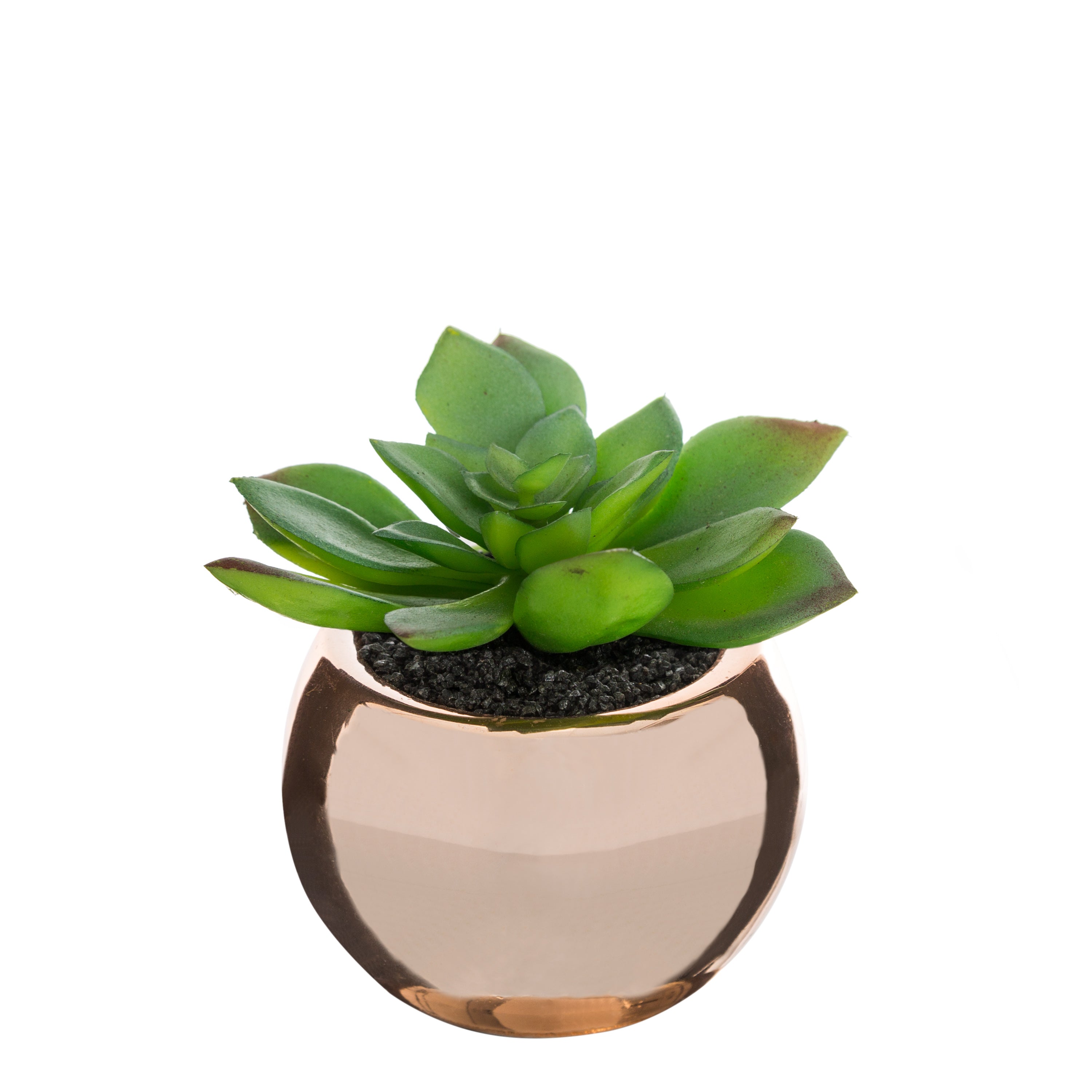 Ghiveci planta verde h.13 - Atmosphera
