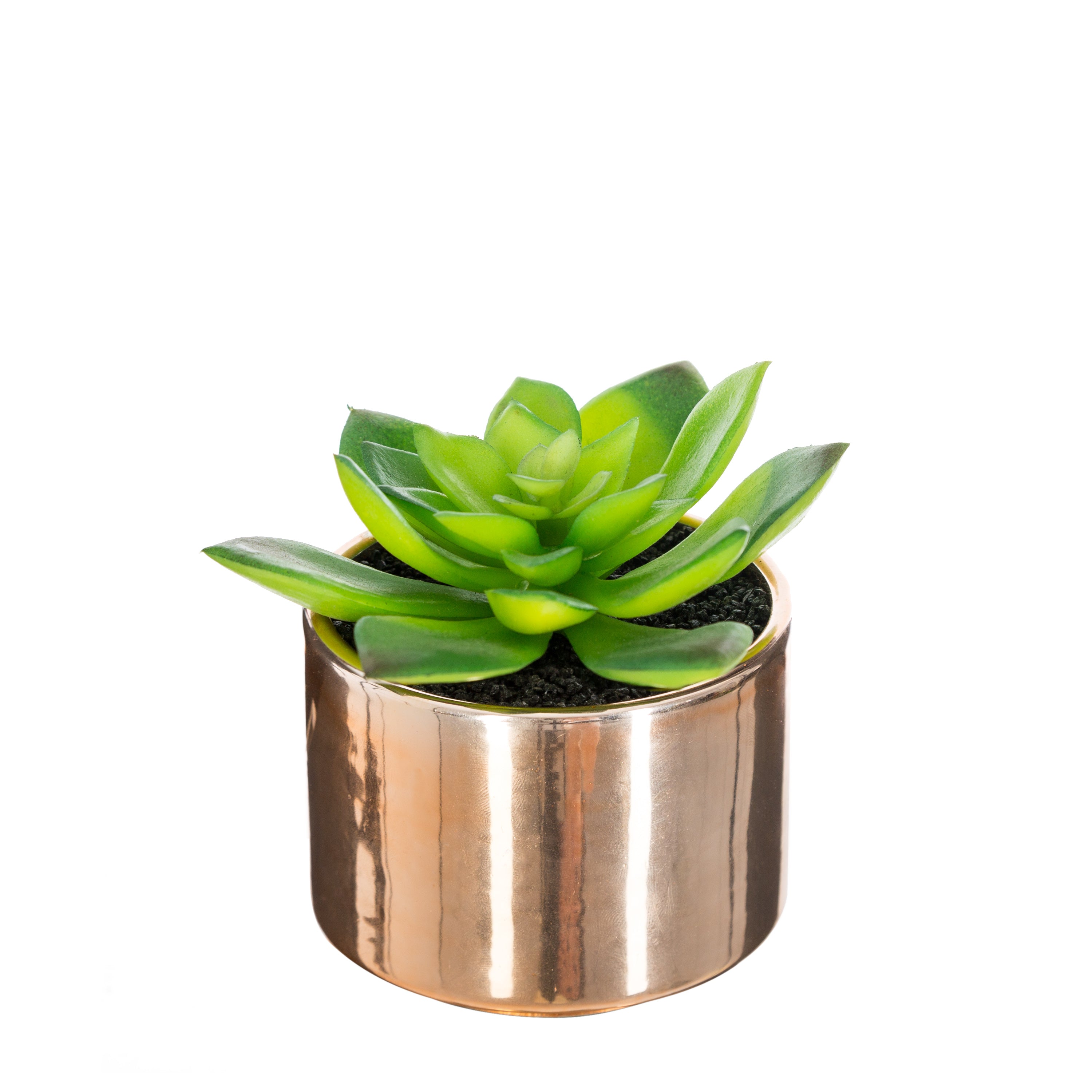 Ghiveci planta verde h.13 - Atmosphera