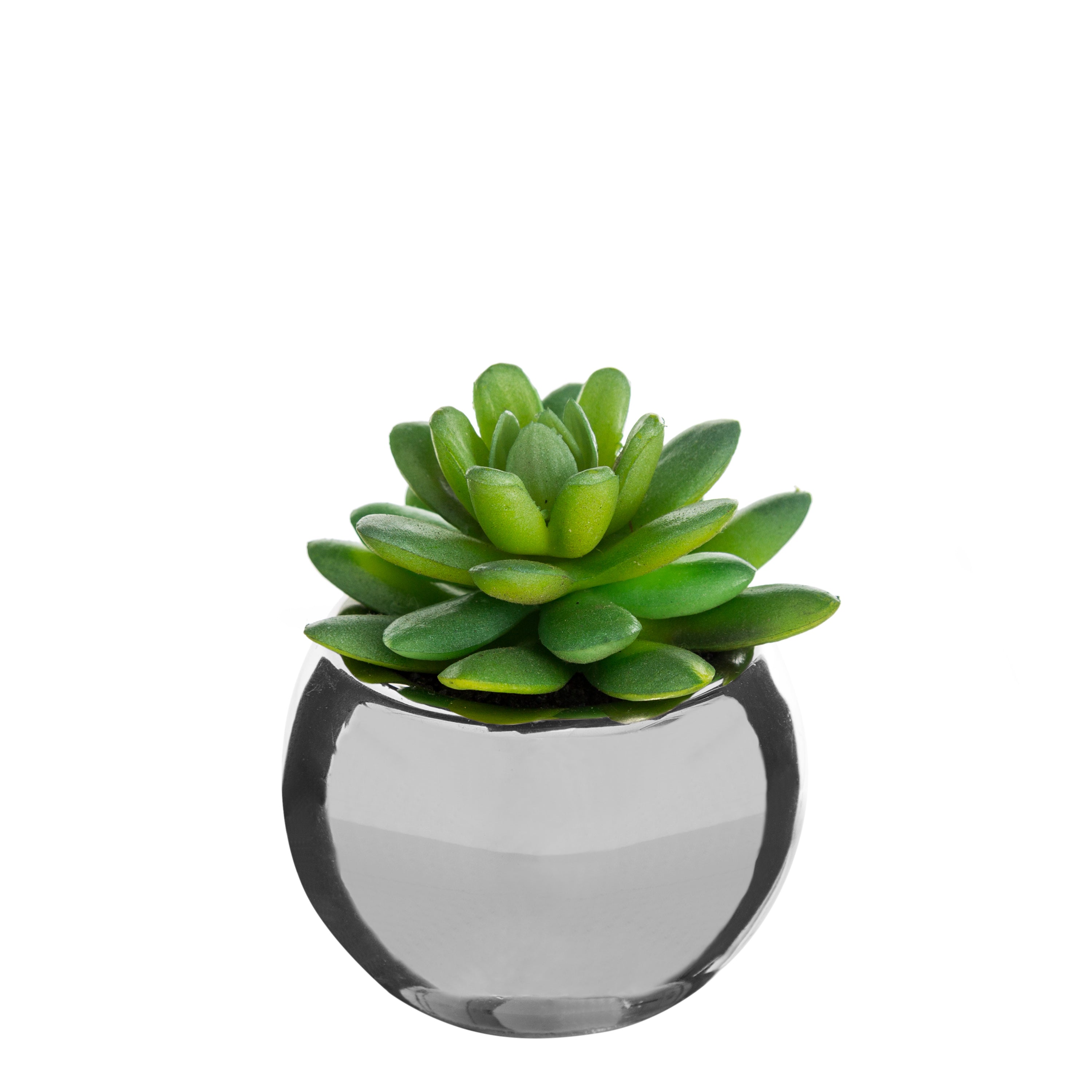 Ghiveci planta verde h.13 - Atmosphera