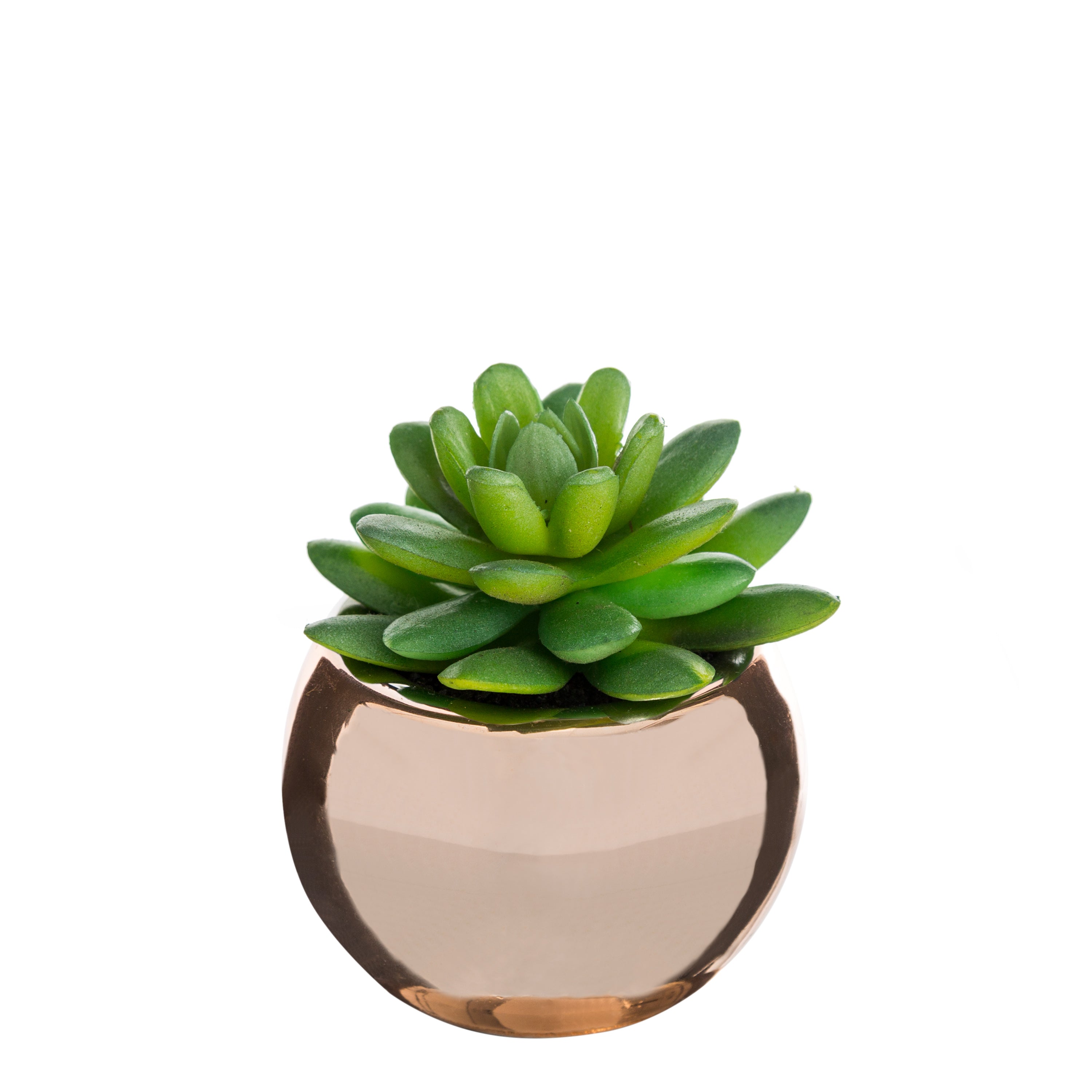 Ghiveci planta verde h.13 - Atmosphera