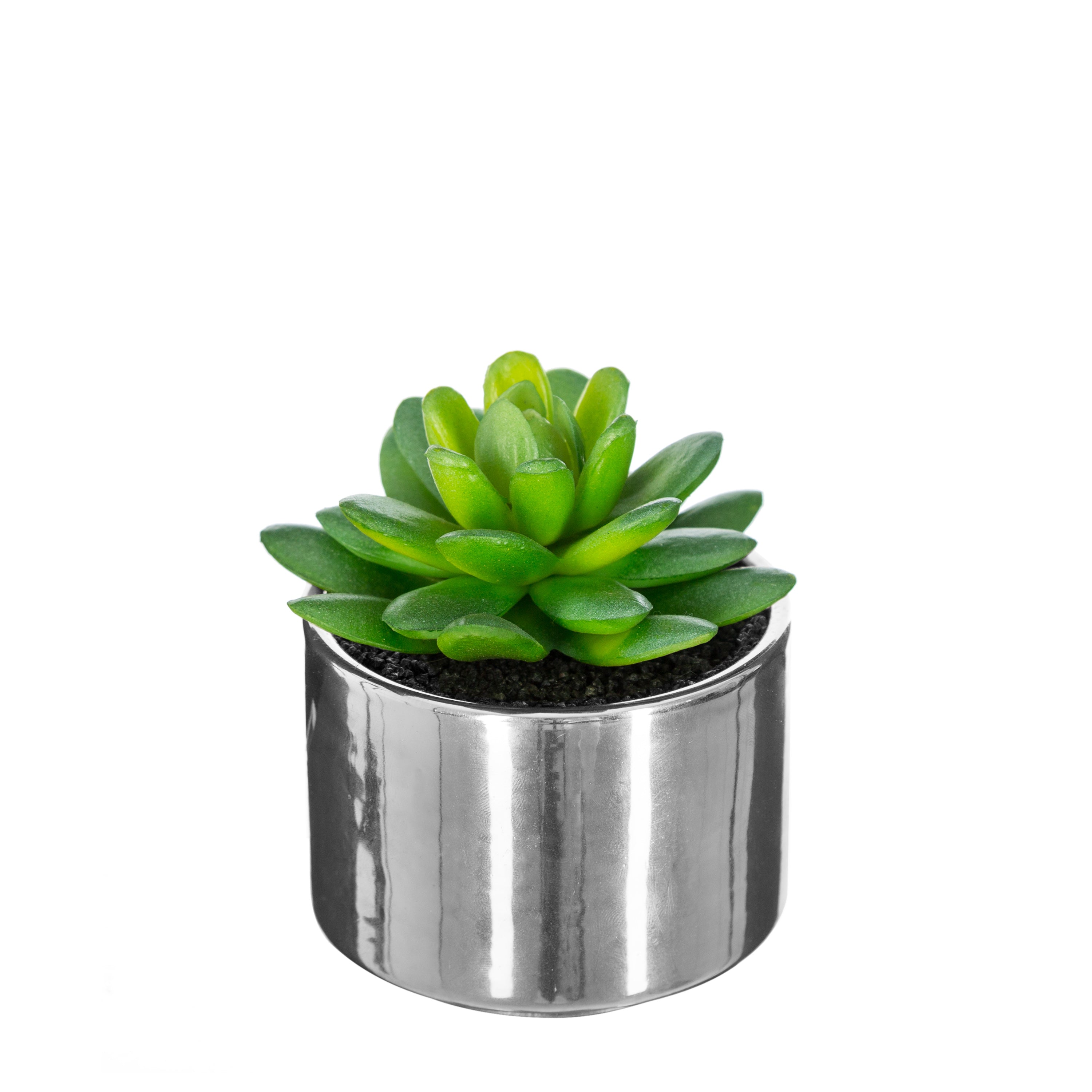 Ghiveci planta verde h.13 - Atmosphera