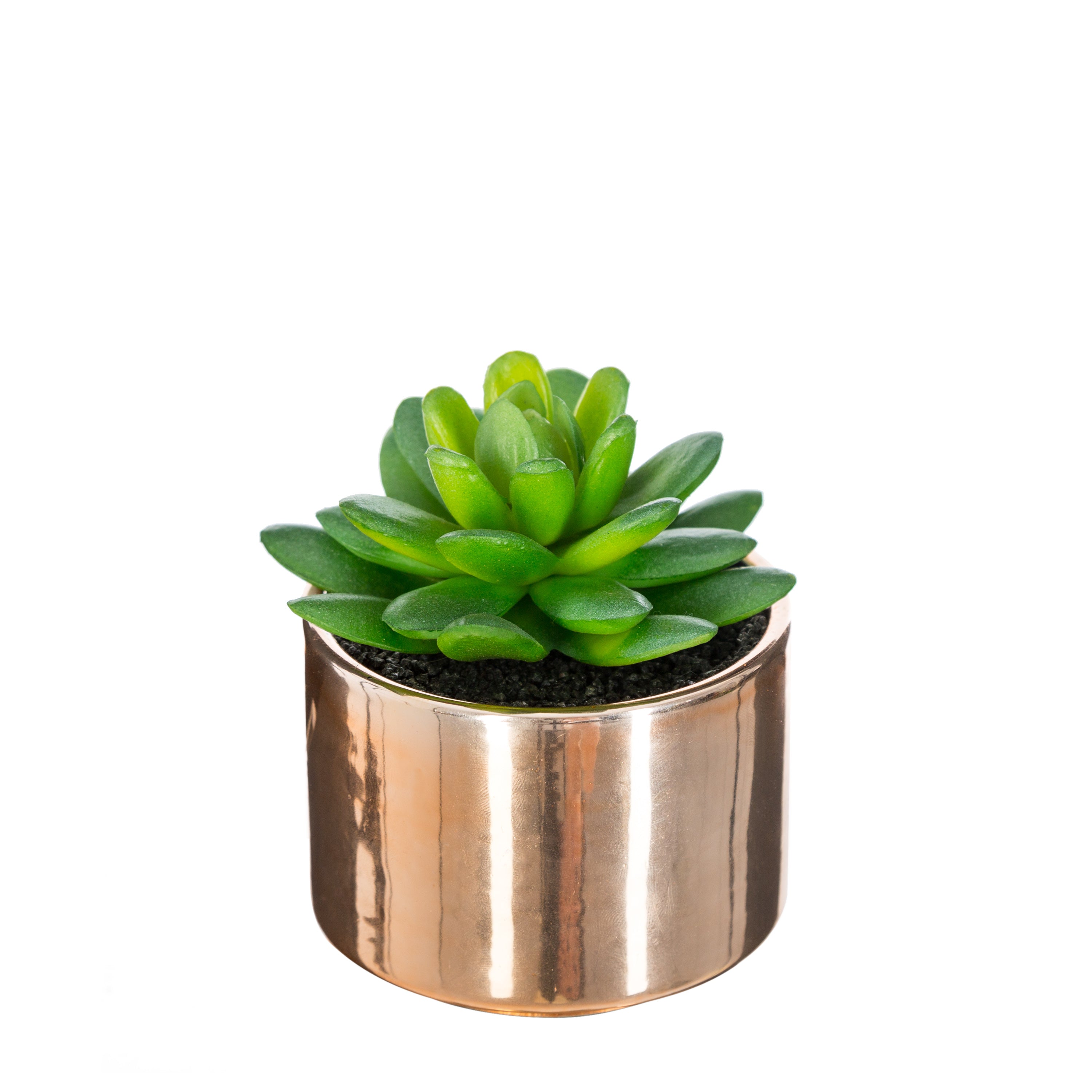 Ghiveci planta verde h.13 - Atmosphera
