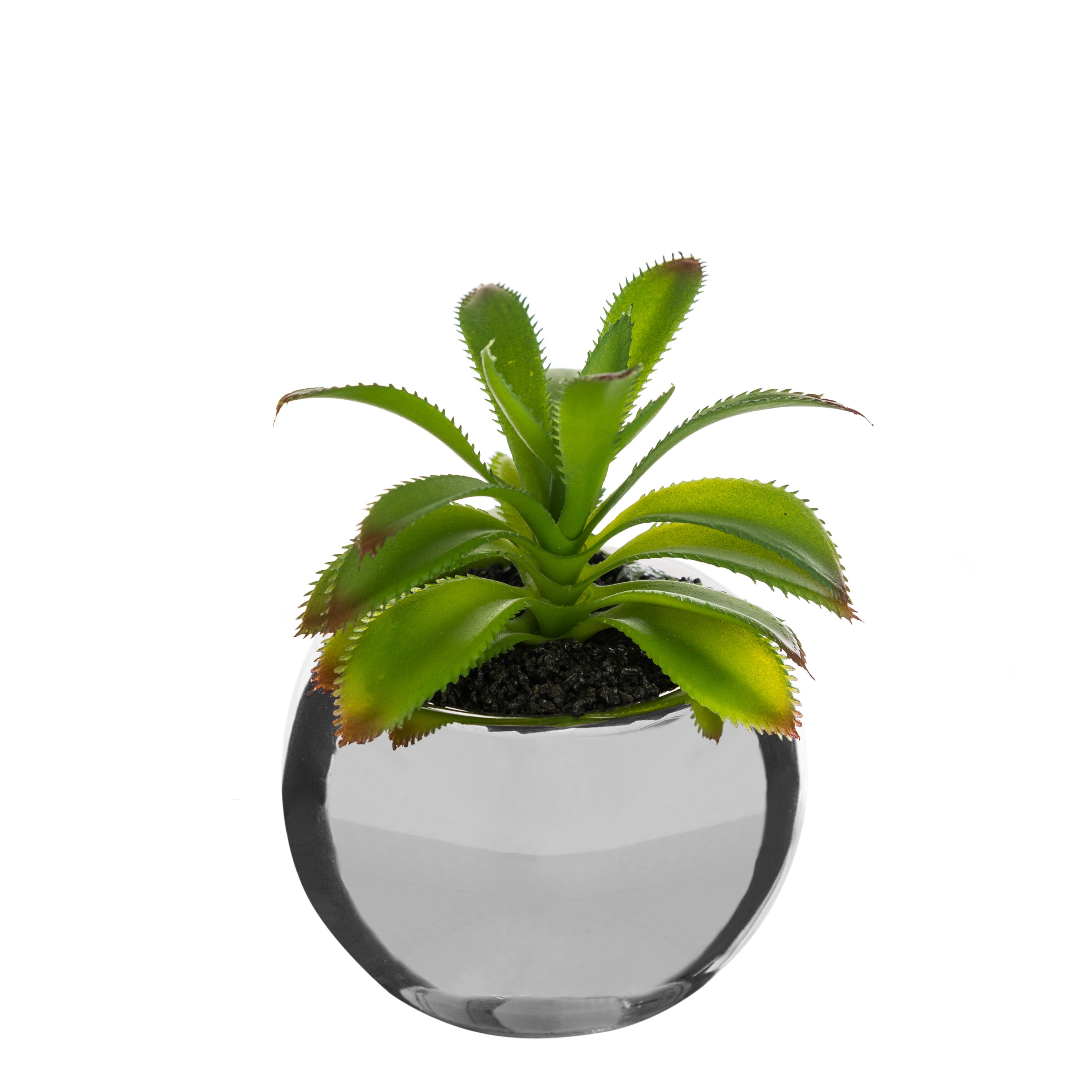 Ghiveci planta verde h.13 - Atmosphera