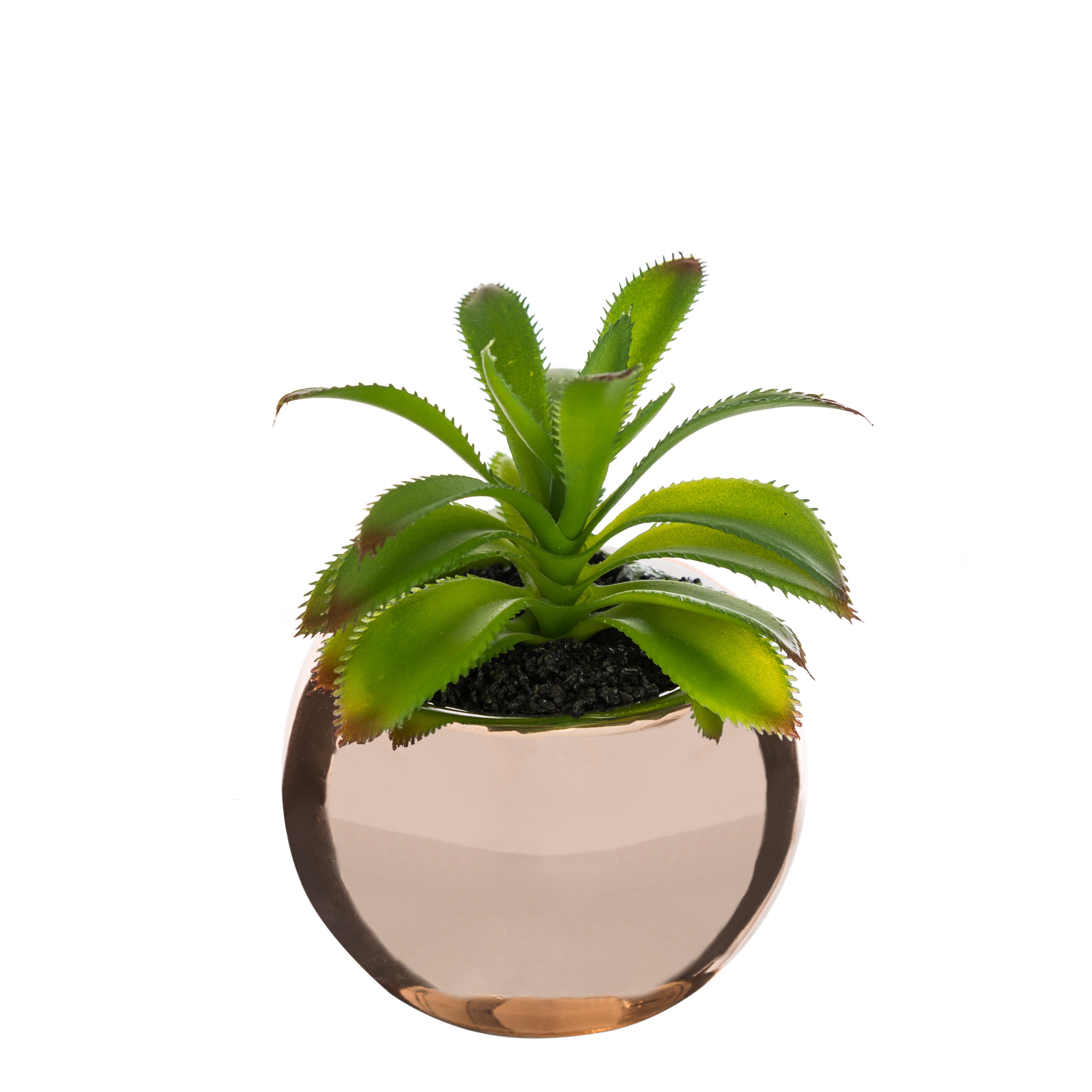 Ghiveci planta verde h.13 - Atmosphera