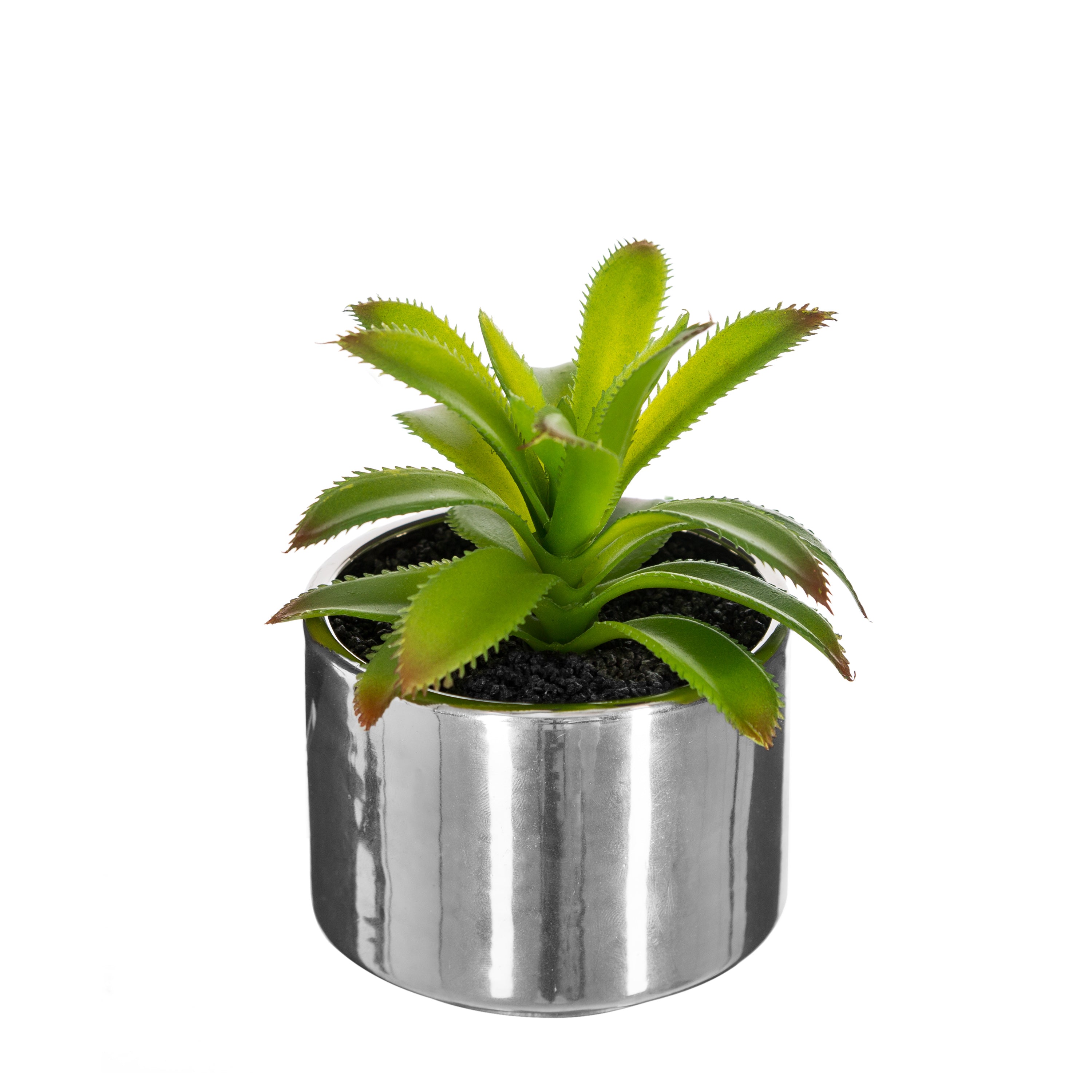 Ghiveci planta verde h.13 - Atmosphera