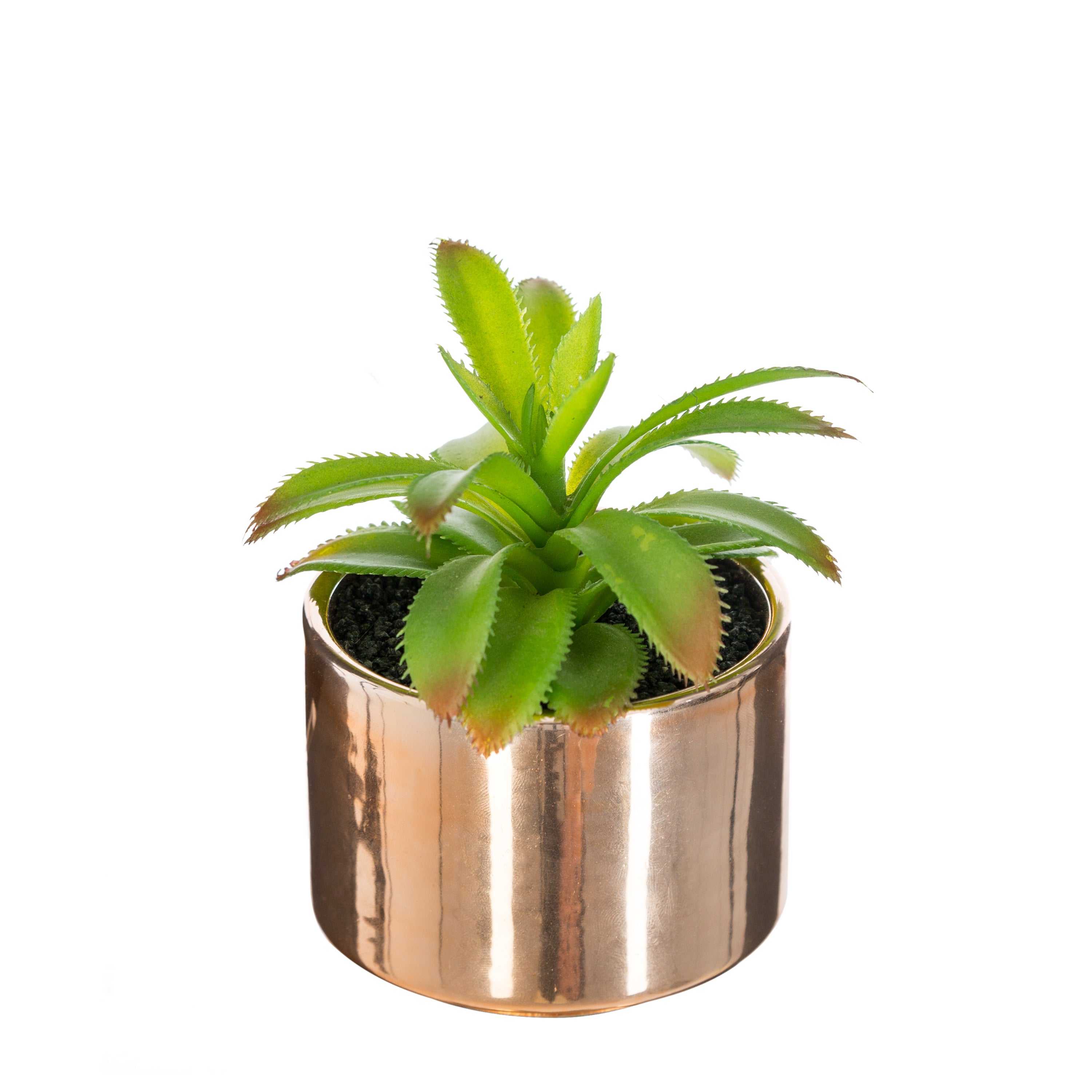 Ghiveci planta verde h.13 - Atmosphera