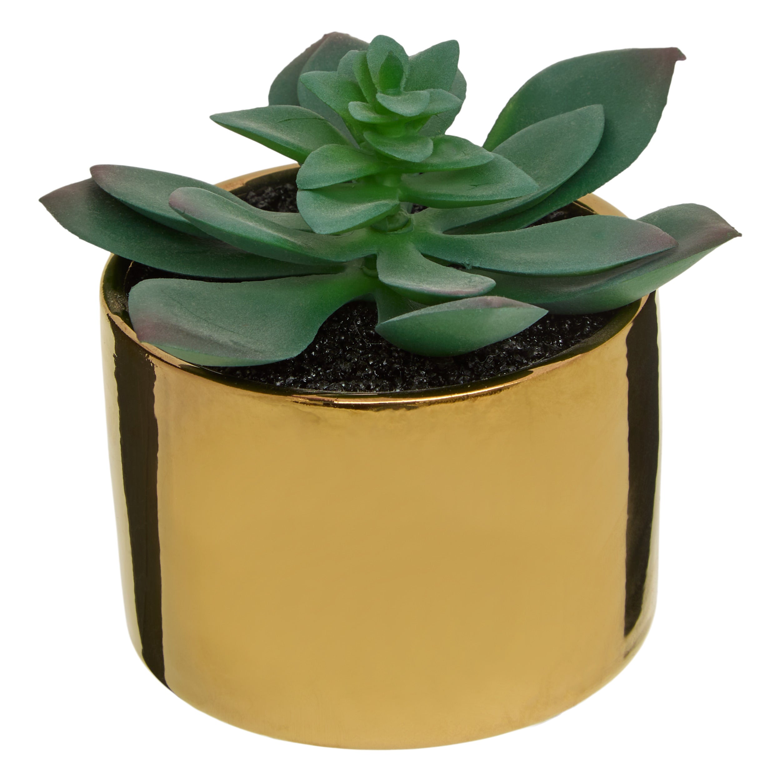 Ghiveci planta verde h.13 - Atmosphera