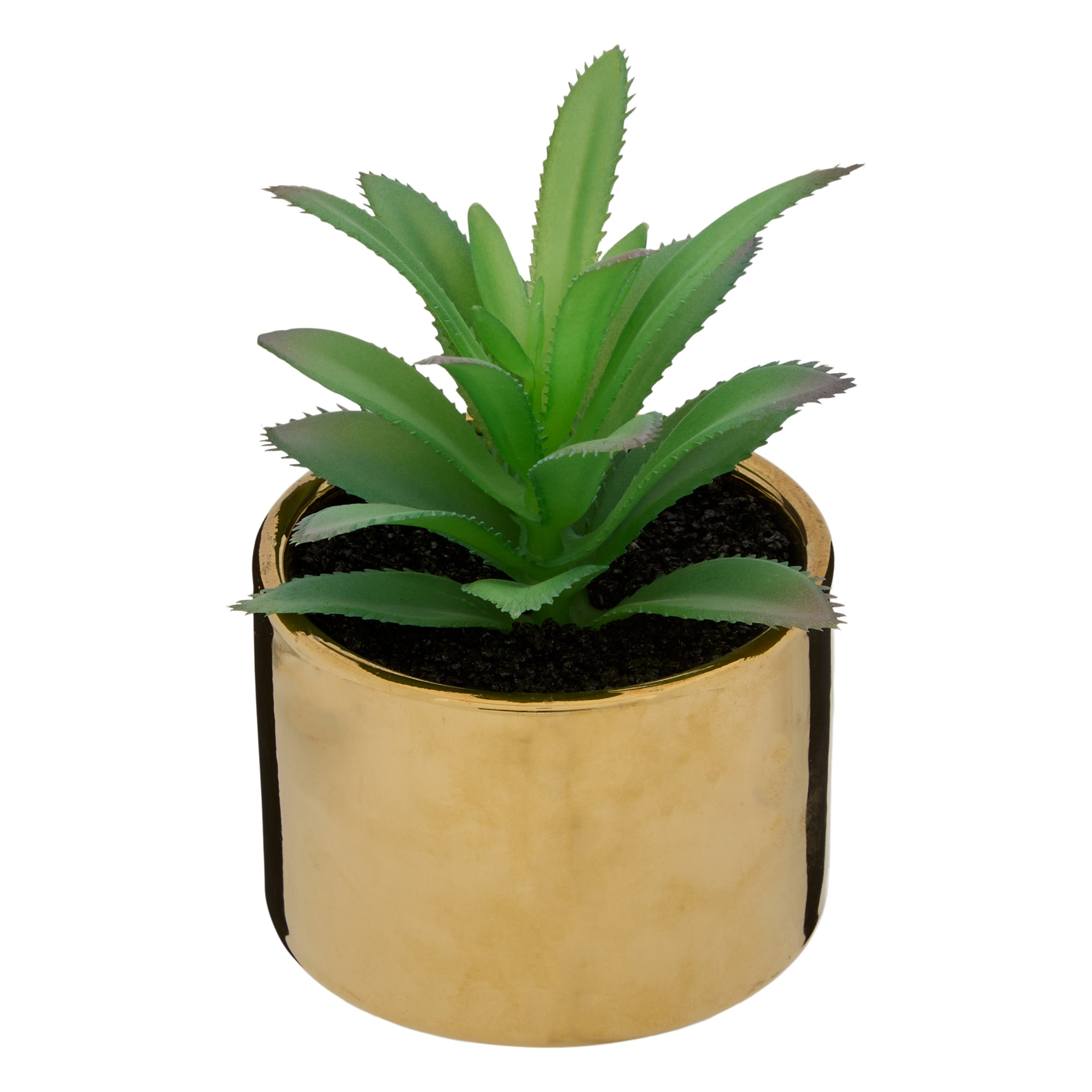 Ghiveci planta verde h.13 - Atmosphera