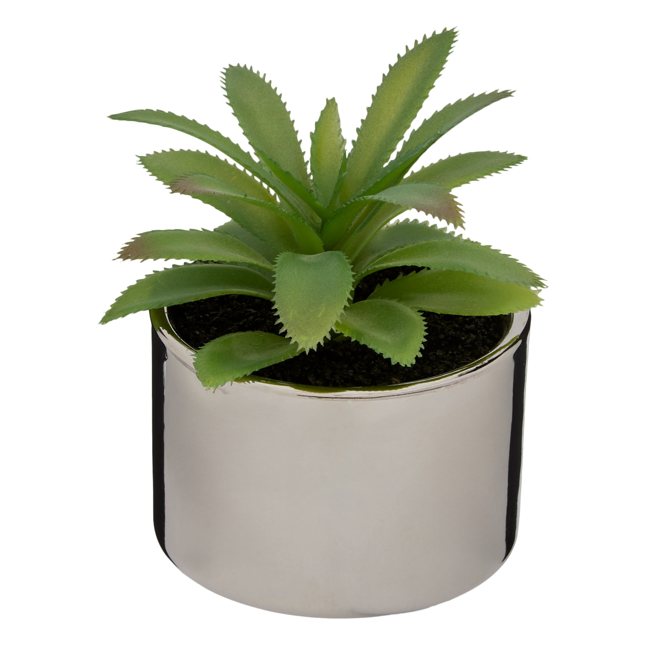 Ghiveci planta verde h.13 - Atmosphera