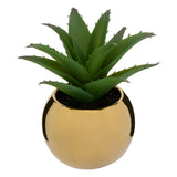 Ghiveci planta verde h.13 - Atmosphera