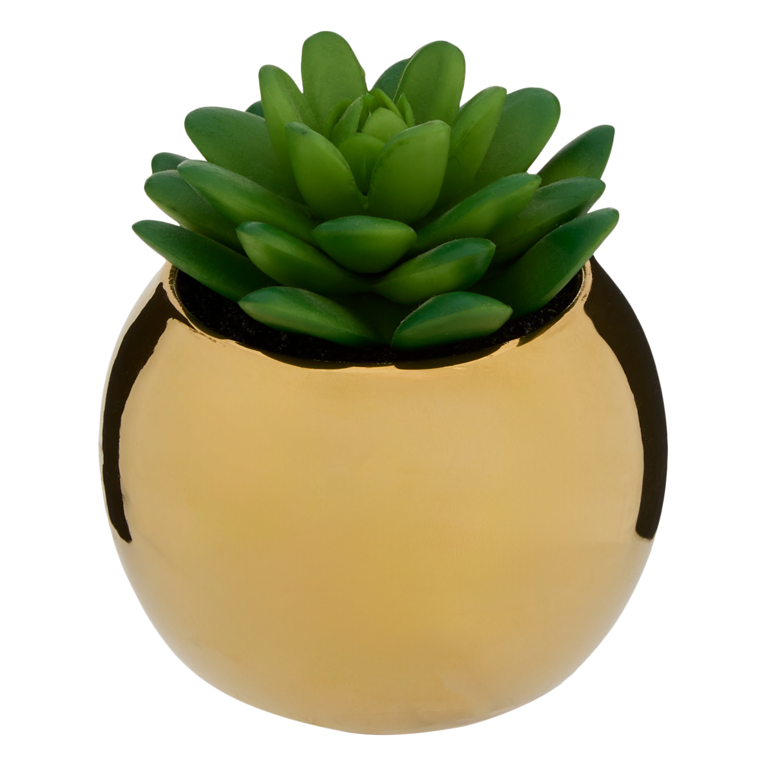 Ghiveci planta verde h.13 - Atmosphera