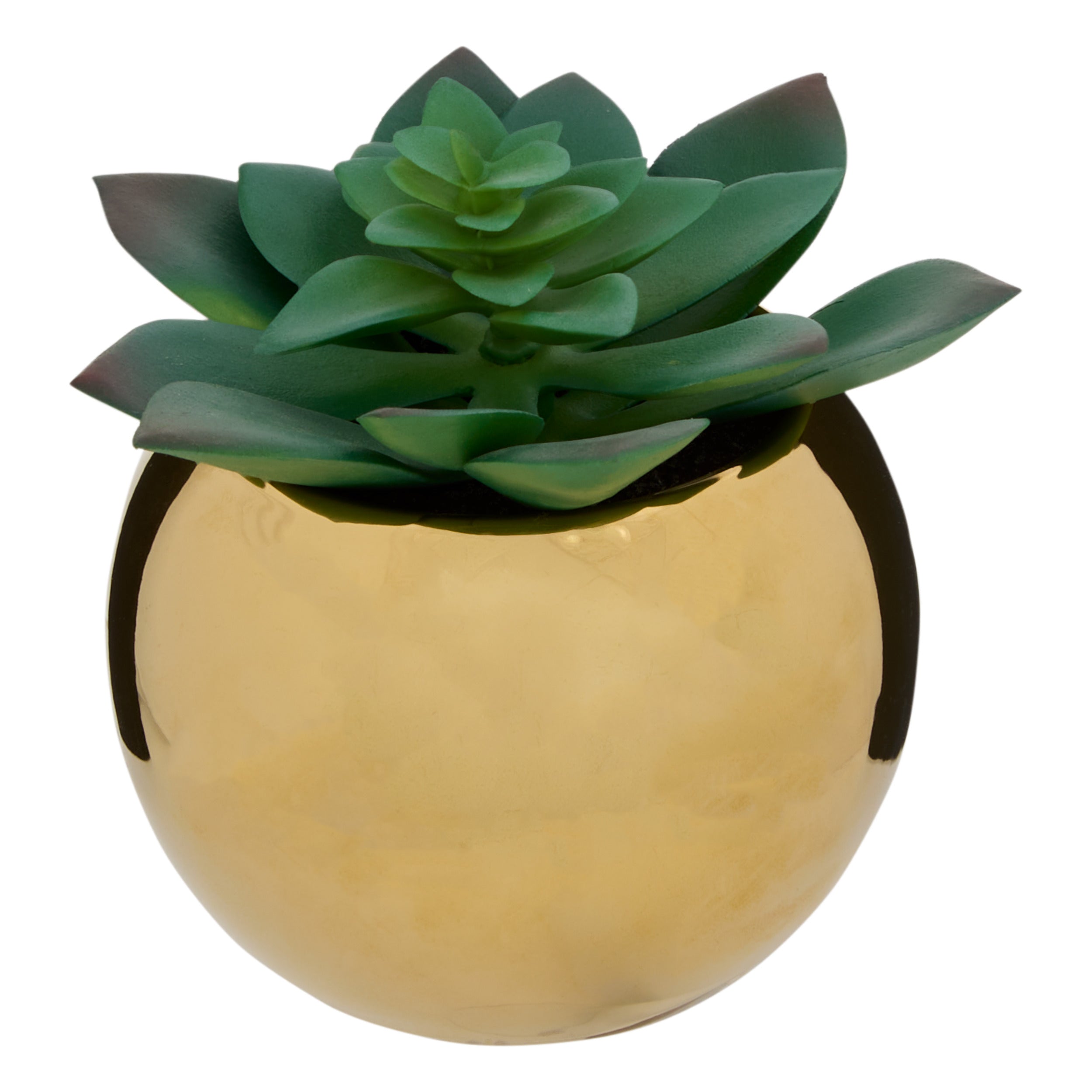 Ghiveci planta verde h.13 - Atmosphera