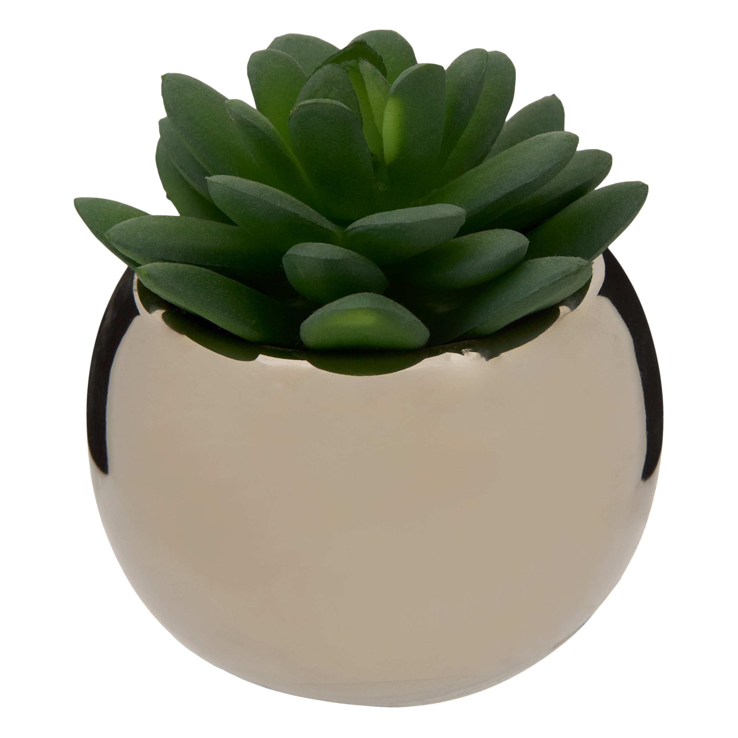 Ghiveci planta verde h.13 - Atmosphera