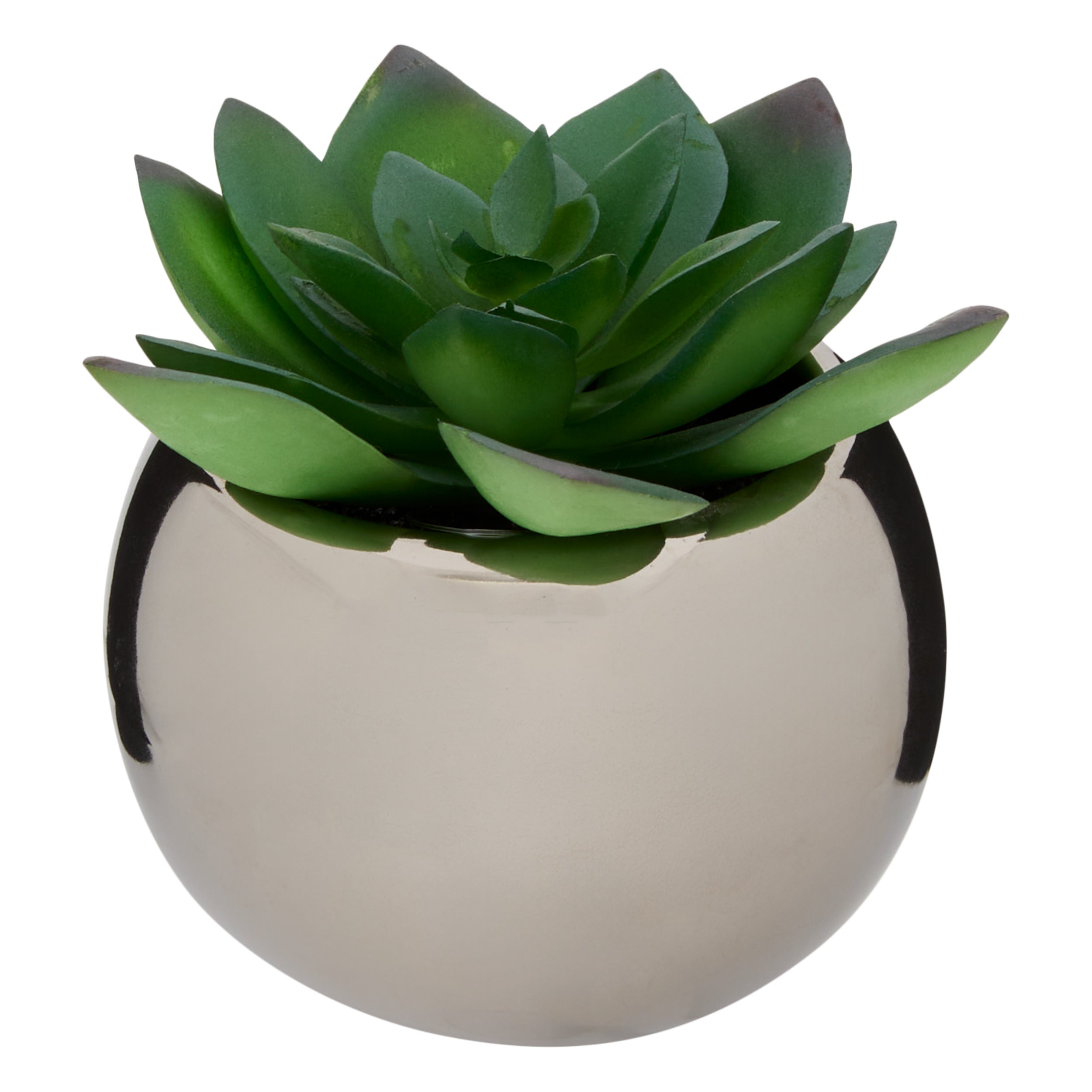 Ghiveci planta verde h.13 - Atmosphera