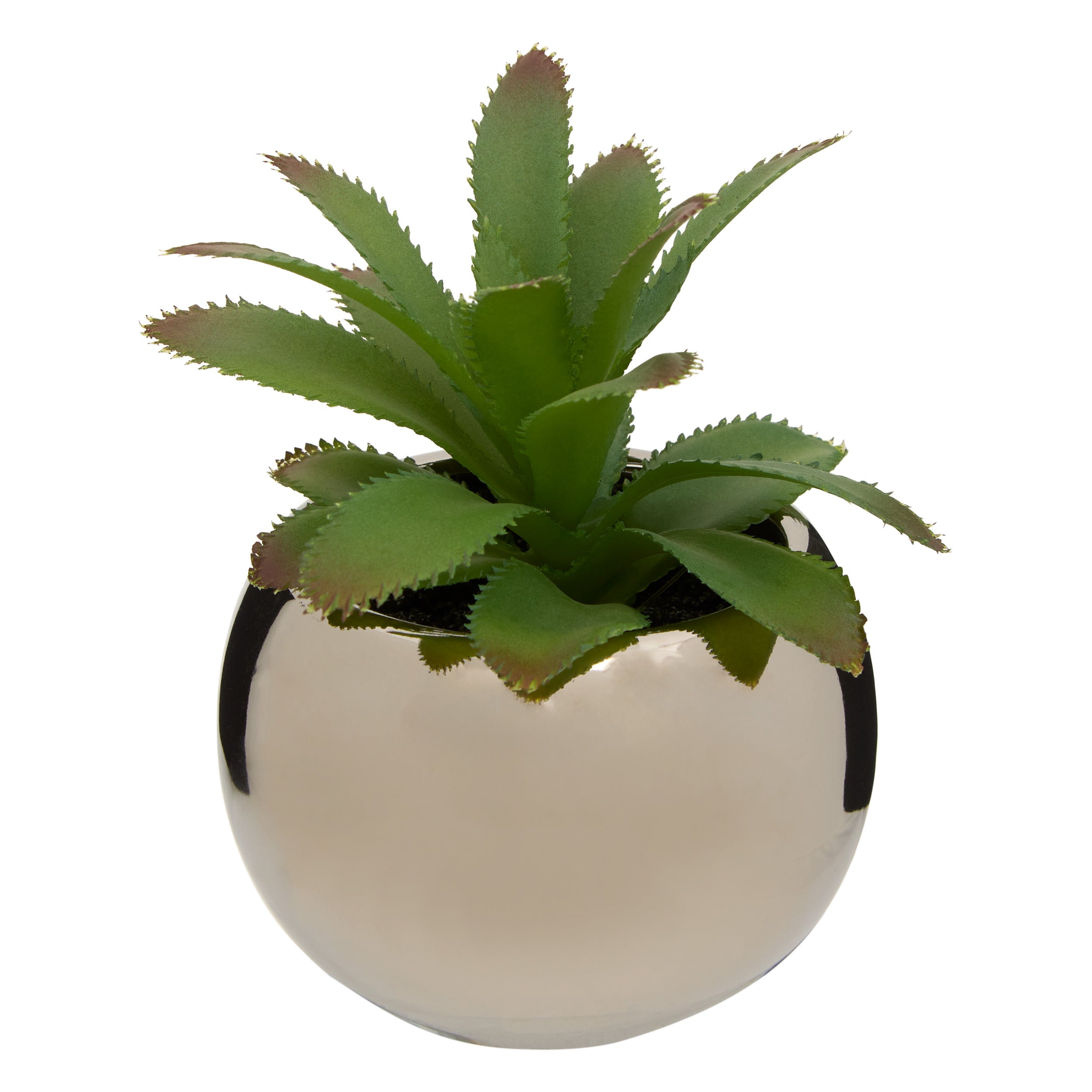 Ghiveci planta verde h.13 - Atmosphera