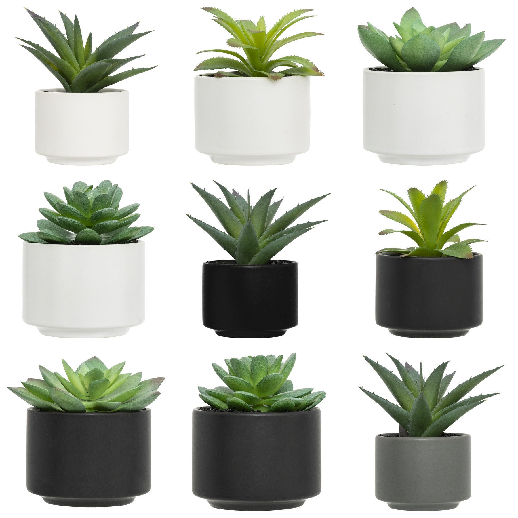 Floare decorativa, suculenta cu ghiveci H13 cm - Atmosphera