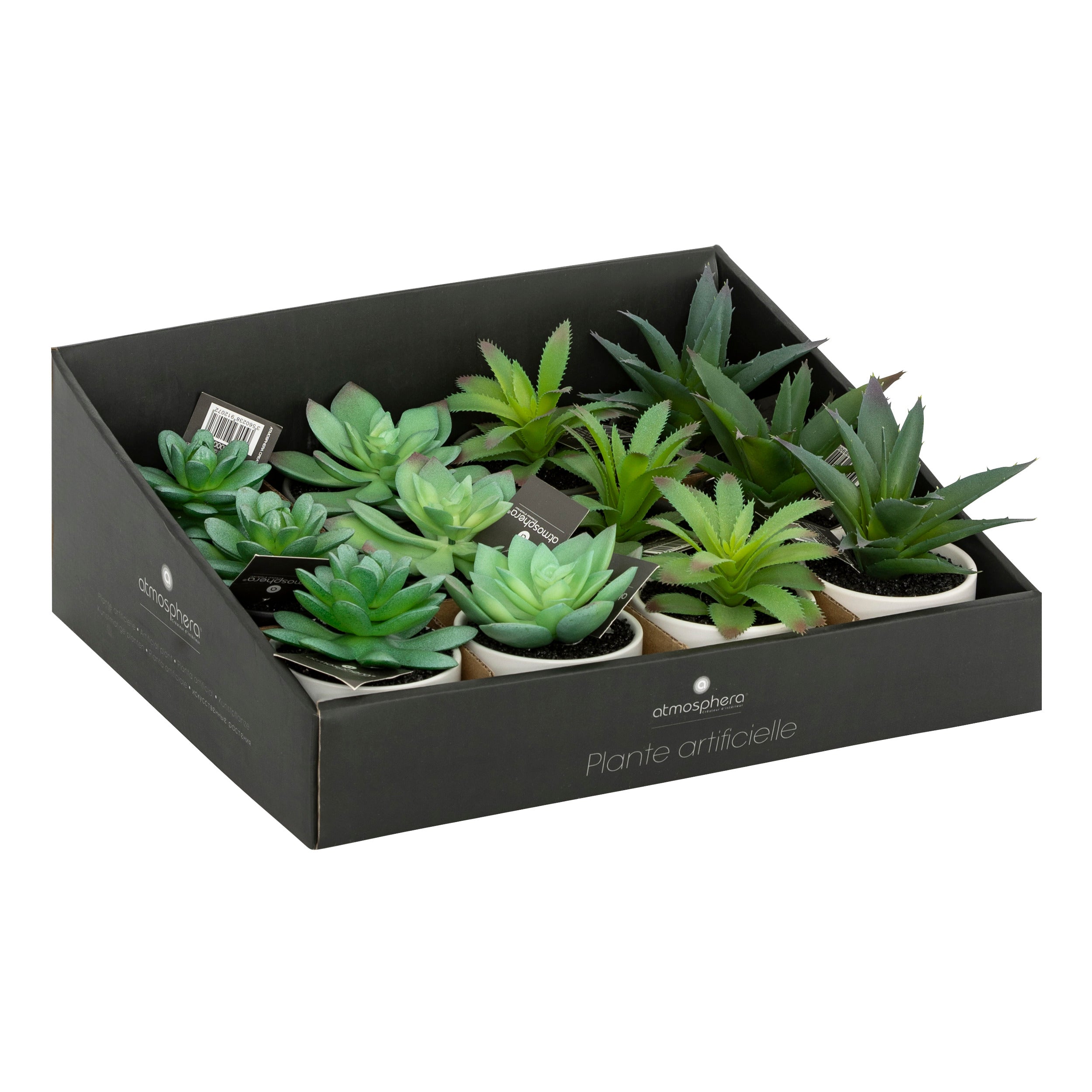 Floare decorativa, suculenta cu ghiveci H13 cm - Atmosphera