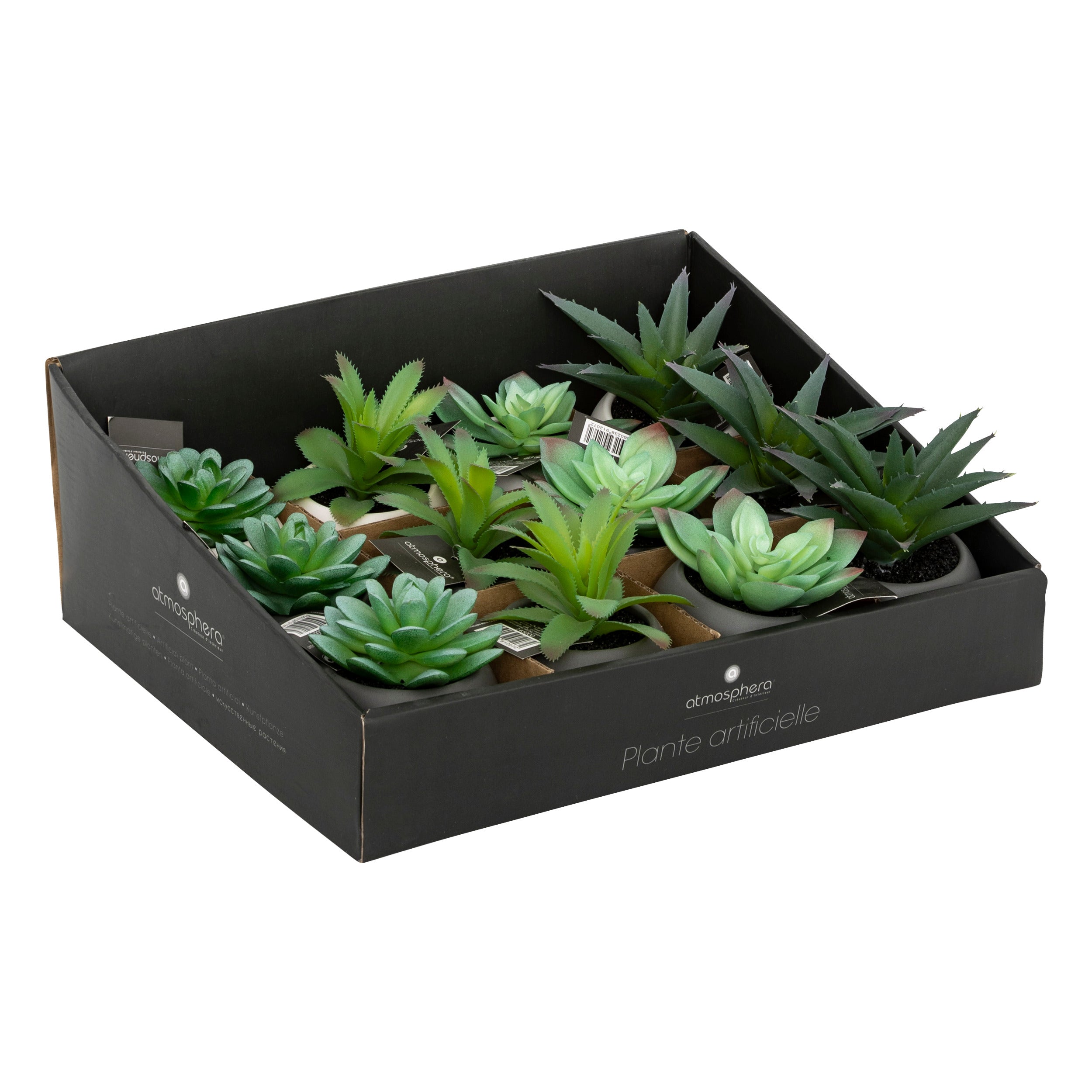 Floare decorativa, suculenta cu ghiveci H13 cm - Atmosphera