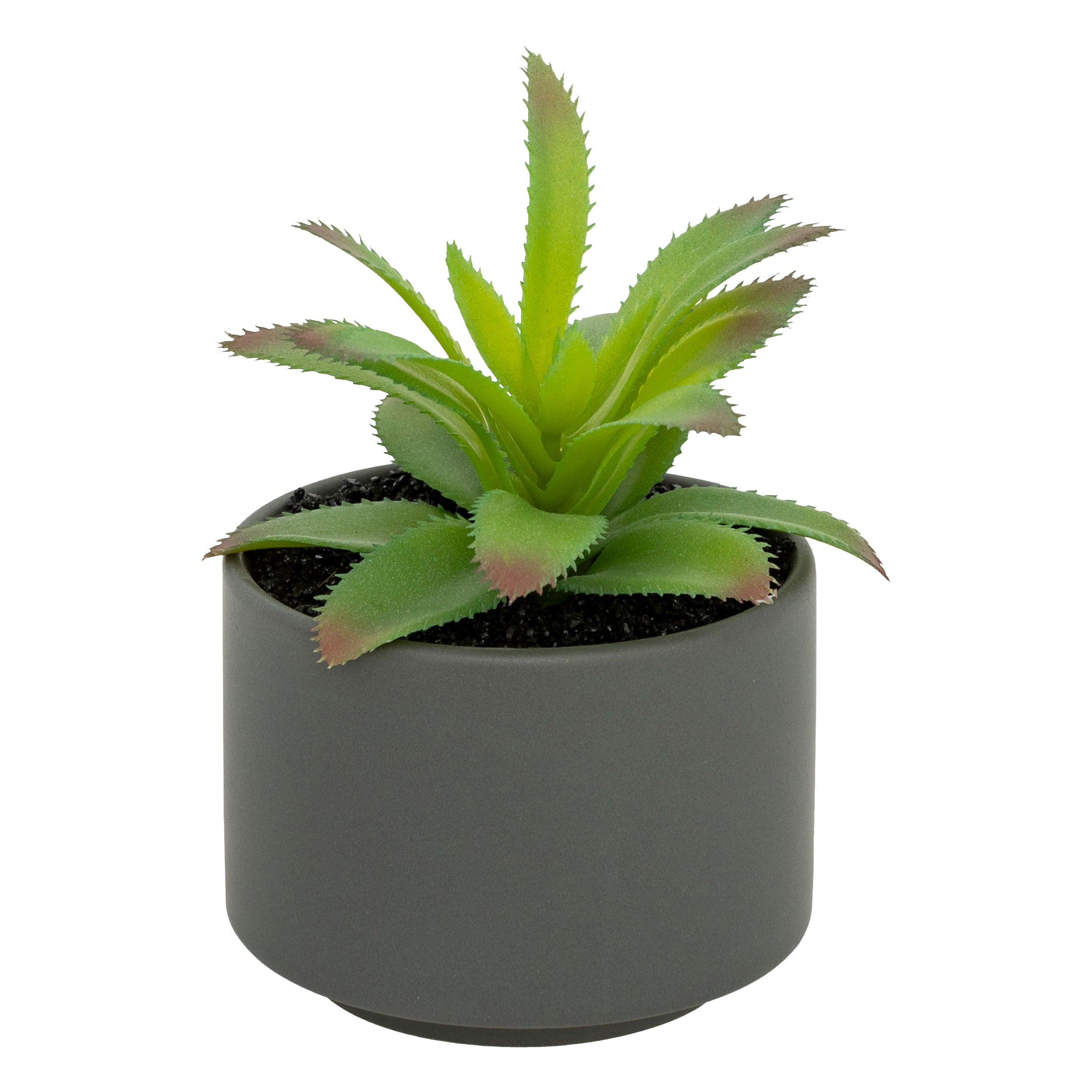 Floare decorativa, suculenta cu ghiveci H13 cm - Atmosphera