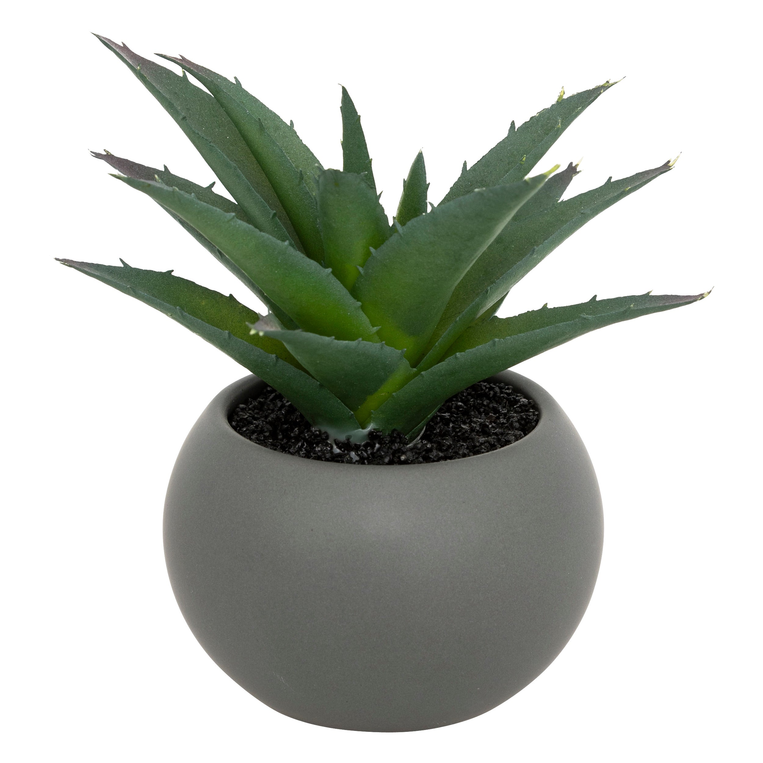 Floare decorativa, suculenta cu ghiveci H13 cm - Atmosphera
