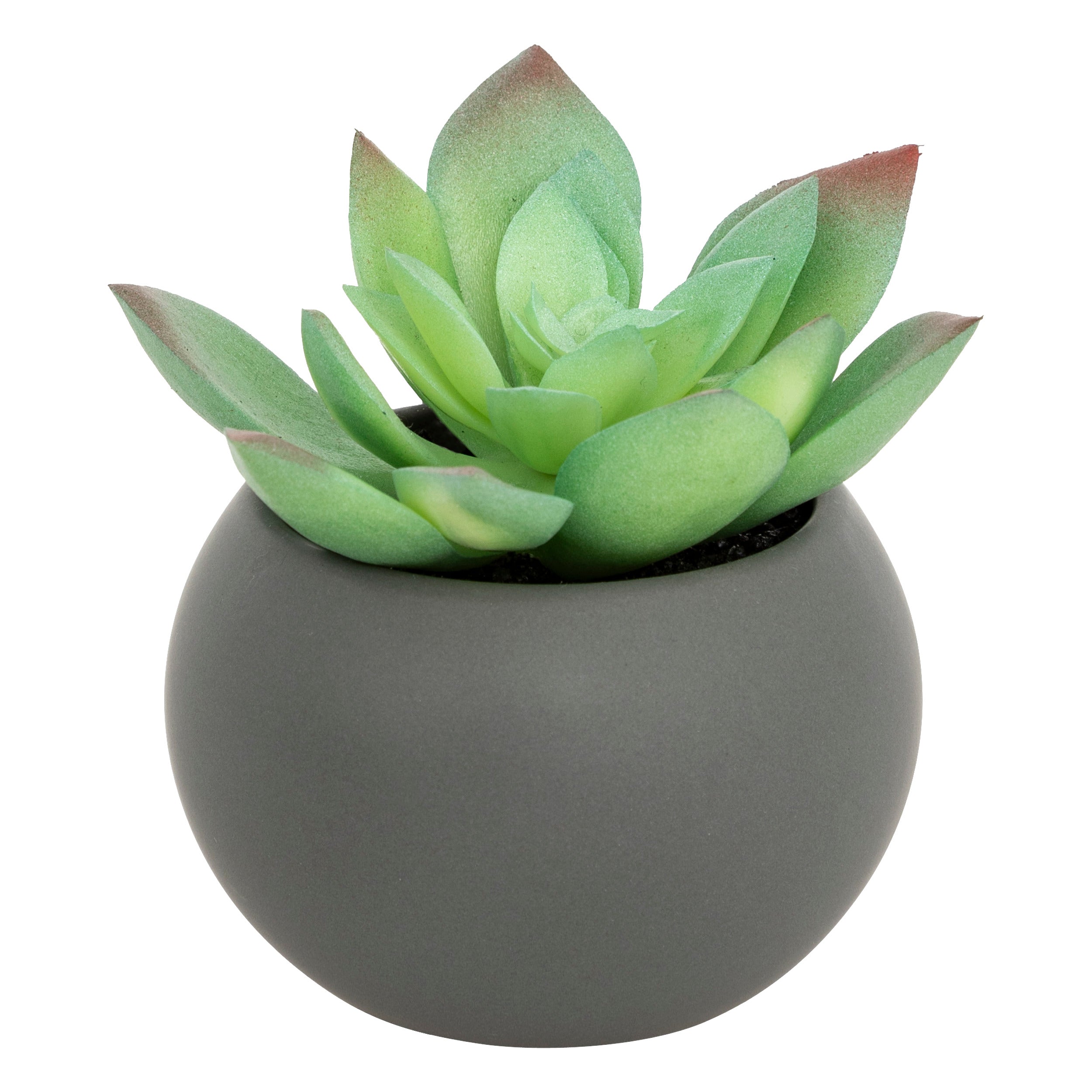 Floare decorativa, suculenta cu ghiveci H13 cm - Atmosphera