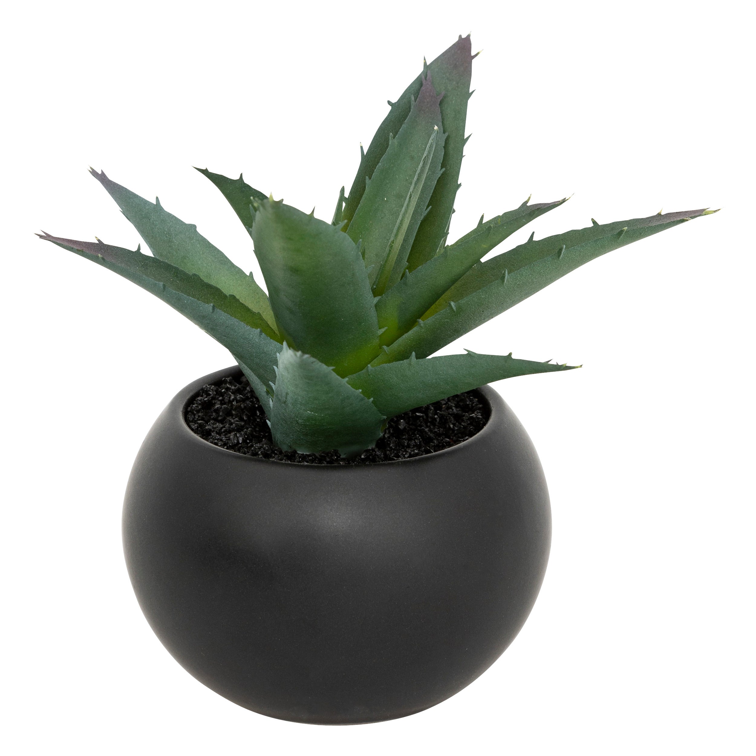 Floare decorativa, suculenta cu ghiveci H13 cm - Atmosphera