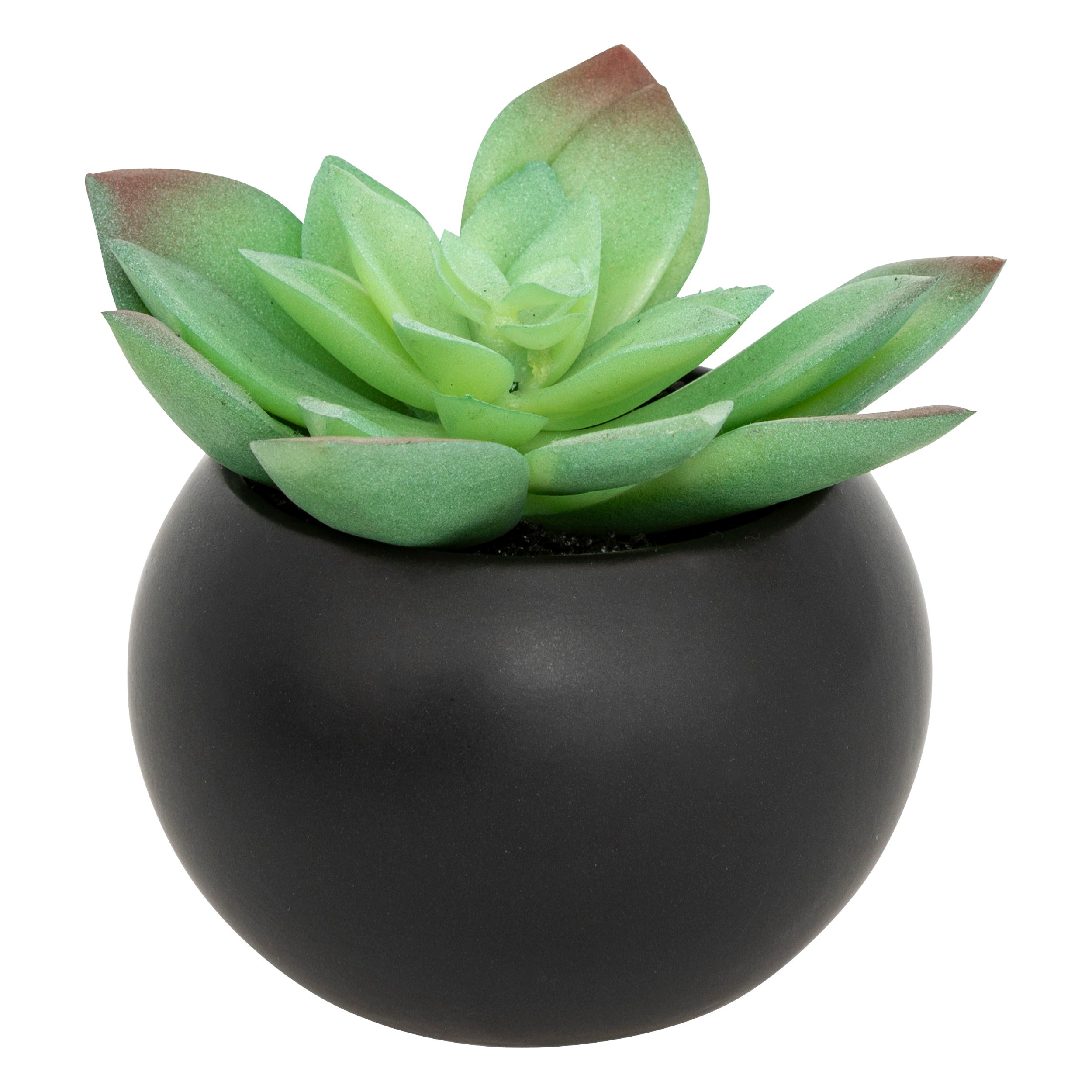 Floare decorativa, suculenta cu ghiveci H13 cm - Atmosphera