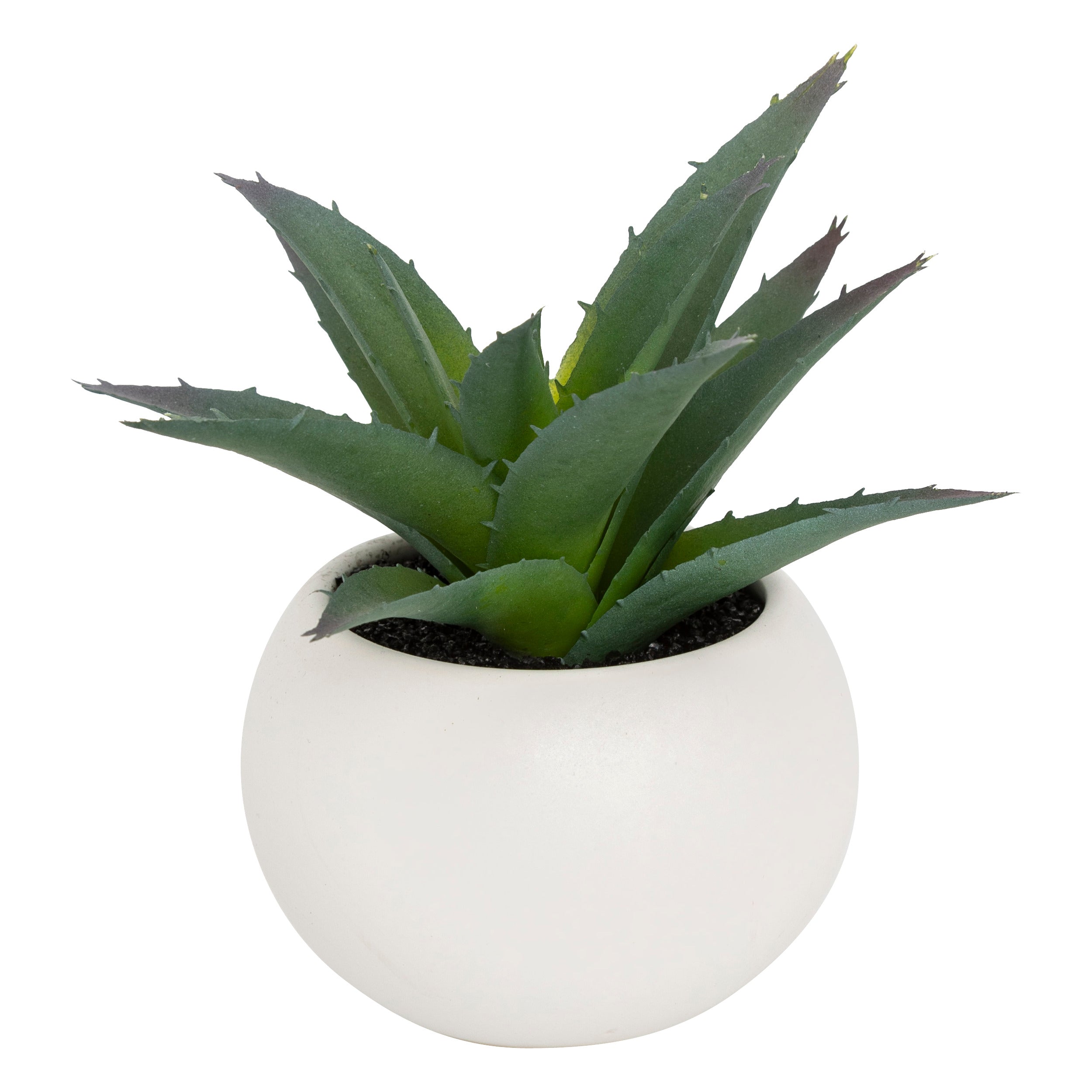 Floare decorativa, suculenta cu ghiveci H13 cm - Atmosphera