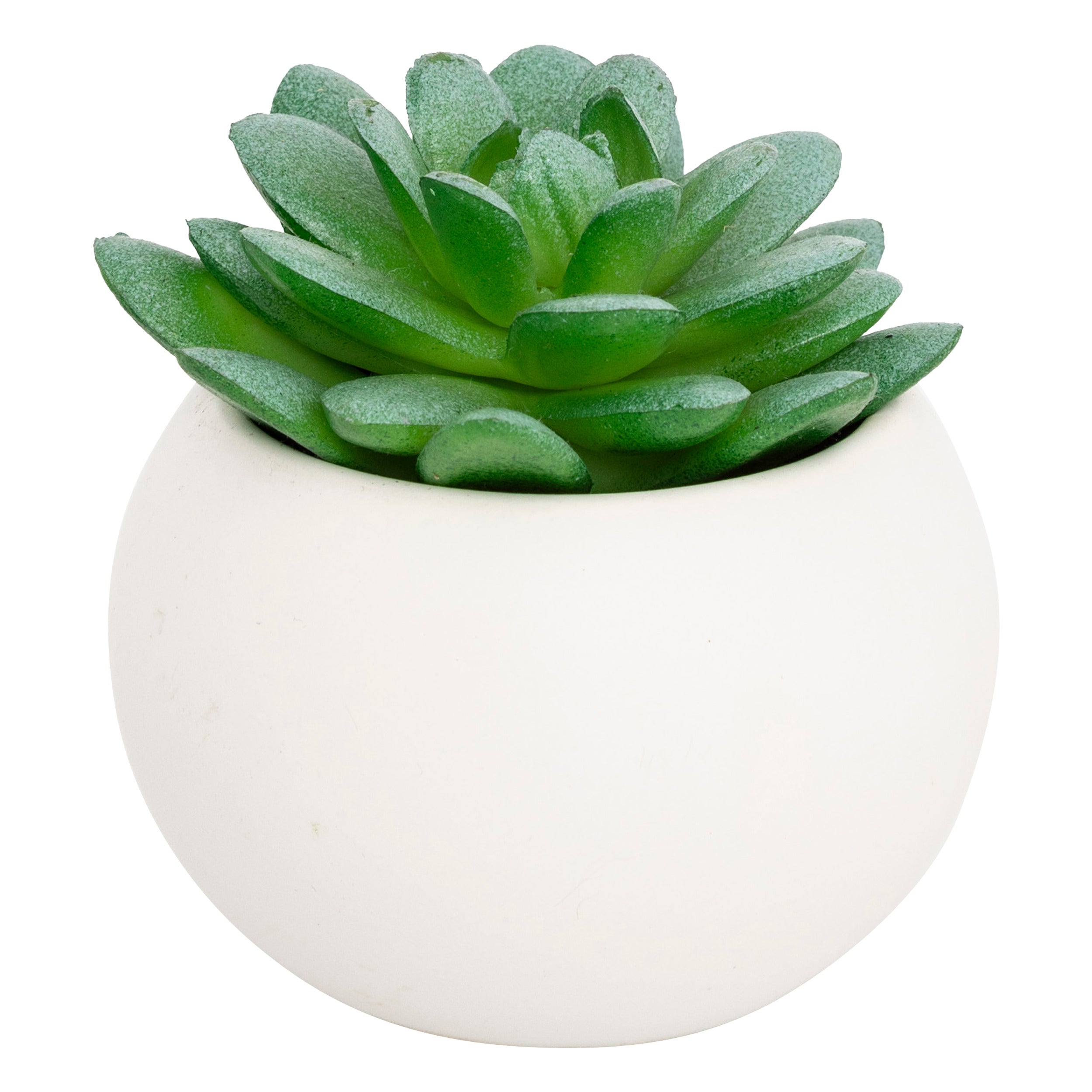Floare decorativa, suculenta cu ghiveci H13 cm - Atmosphera