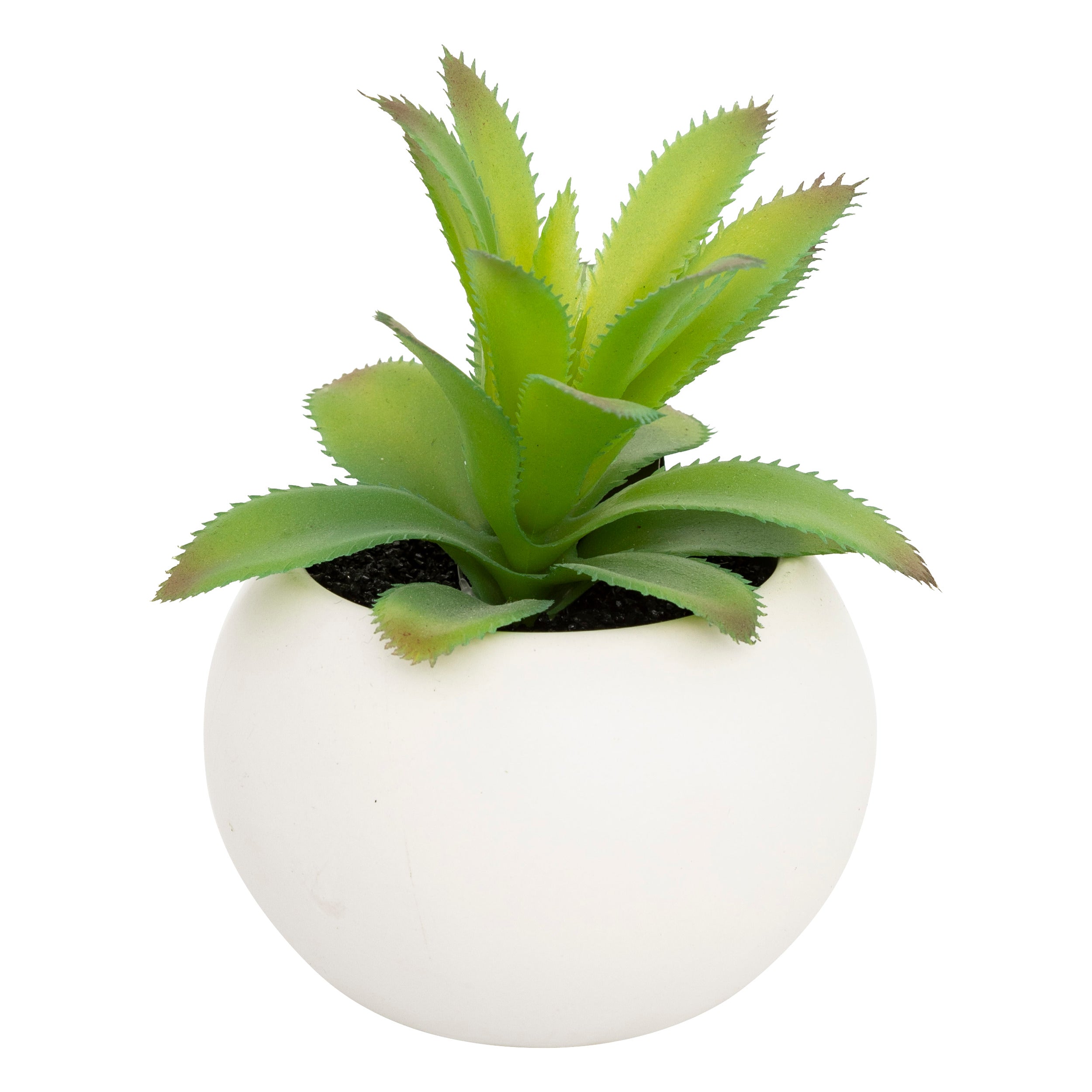 Floare decorativa, suculenta cu ghiveci H13 cm - Atmosphera