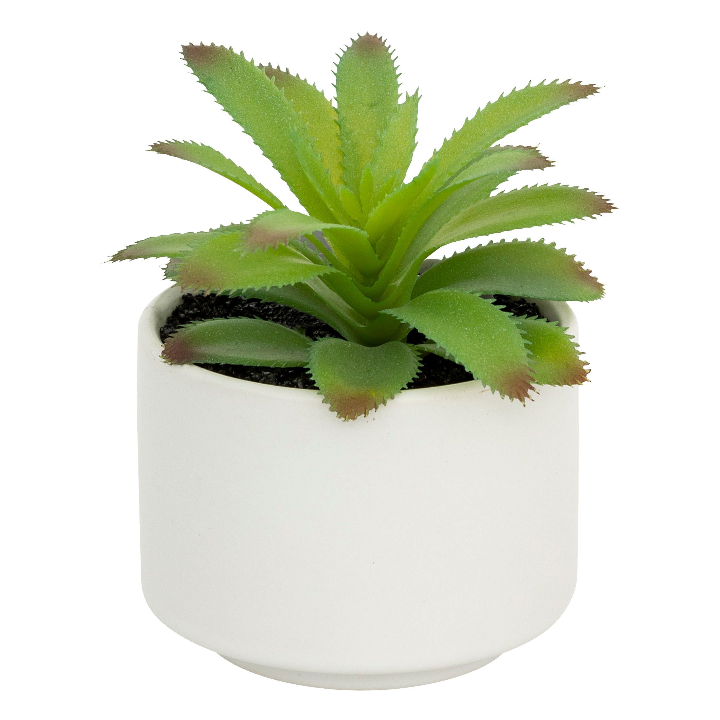 Floare decorativa, suculenta cu ghiveci H13 cm - Atmosphera