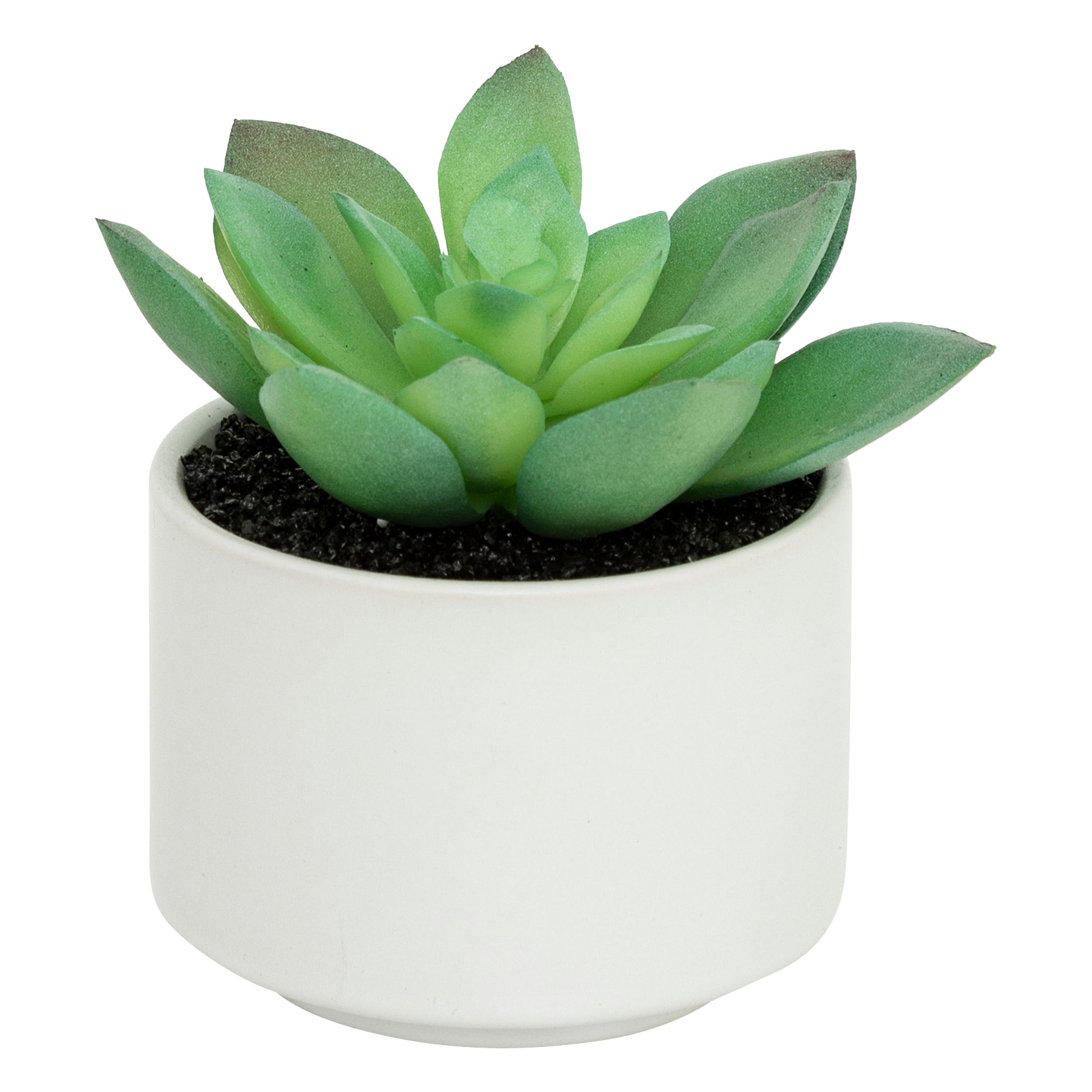 Floare decorativa, suculenta cu ghiveci H13 cm - Atmosphera