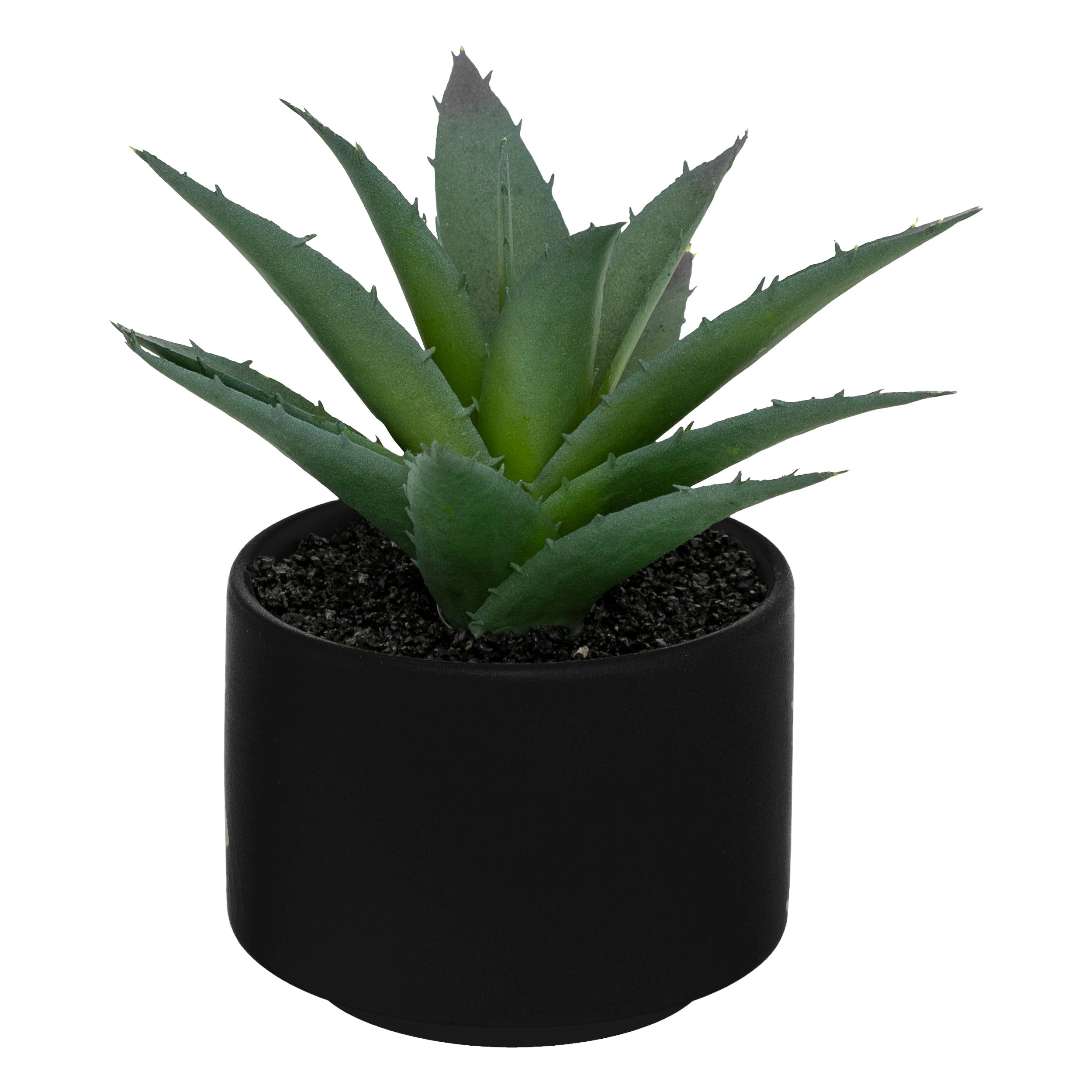 Floare decorativa, suculenta cu ghiveci H13 cm - Atmosphera