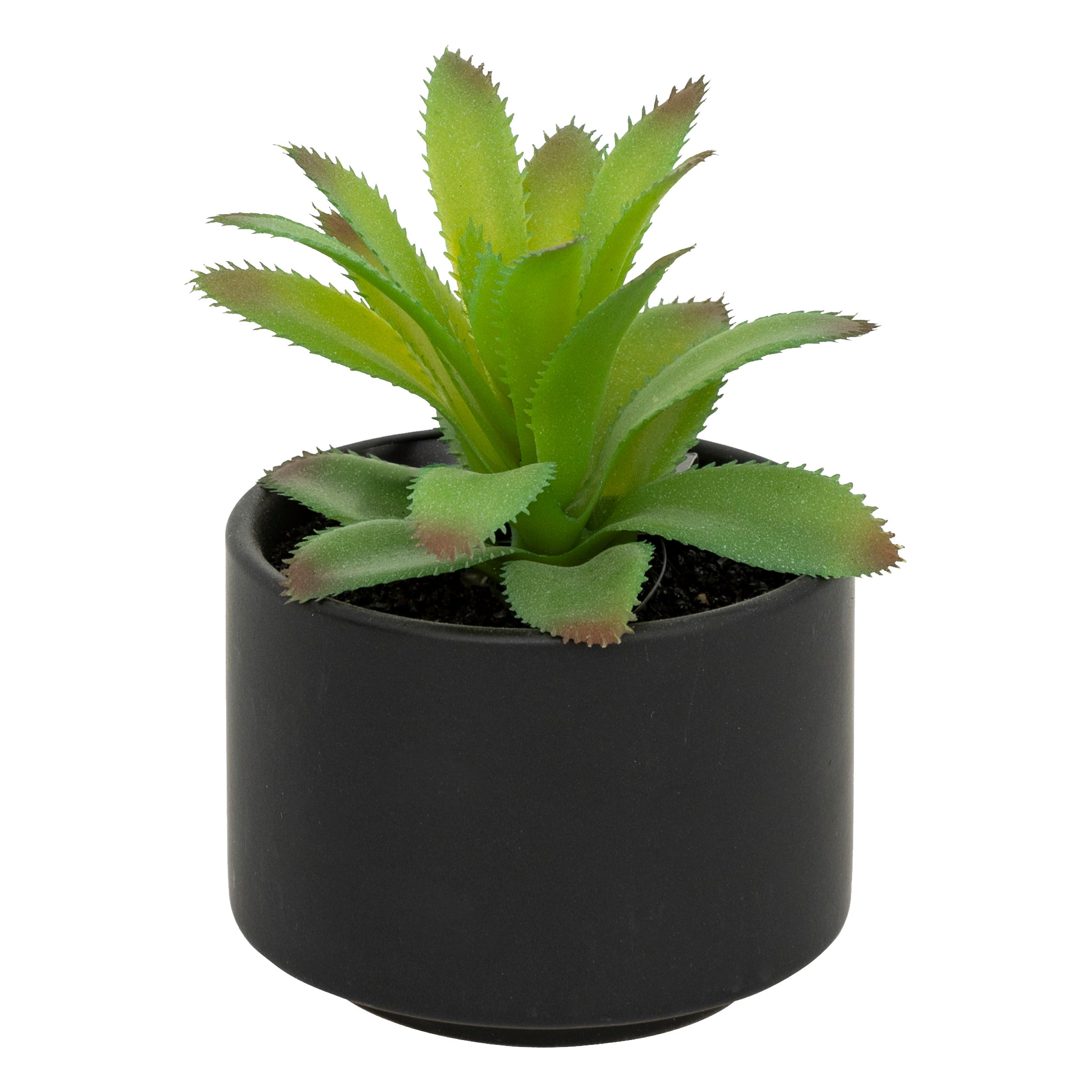 Floare decorativa, suculenta cu ghiveci H13 cm - Atmosphera