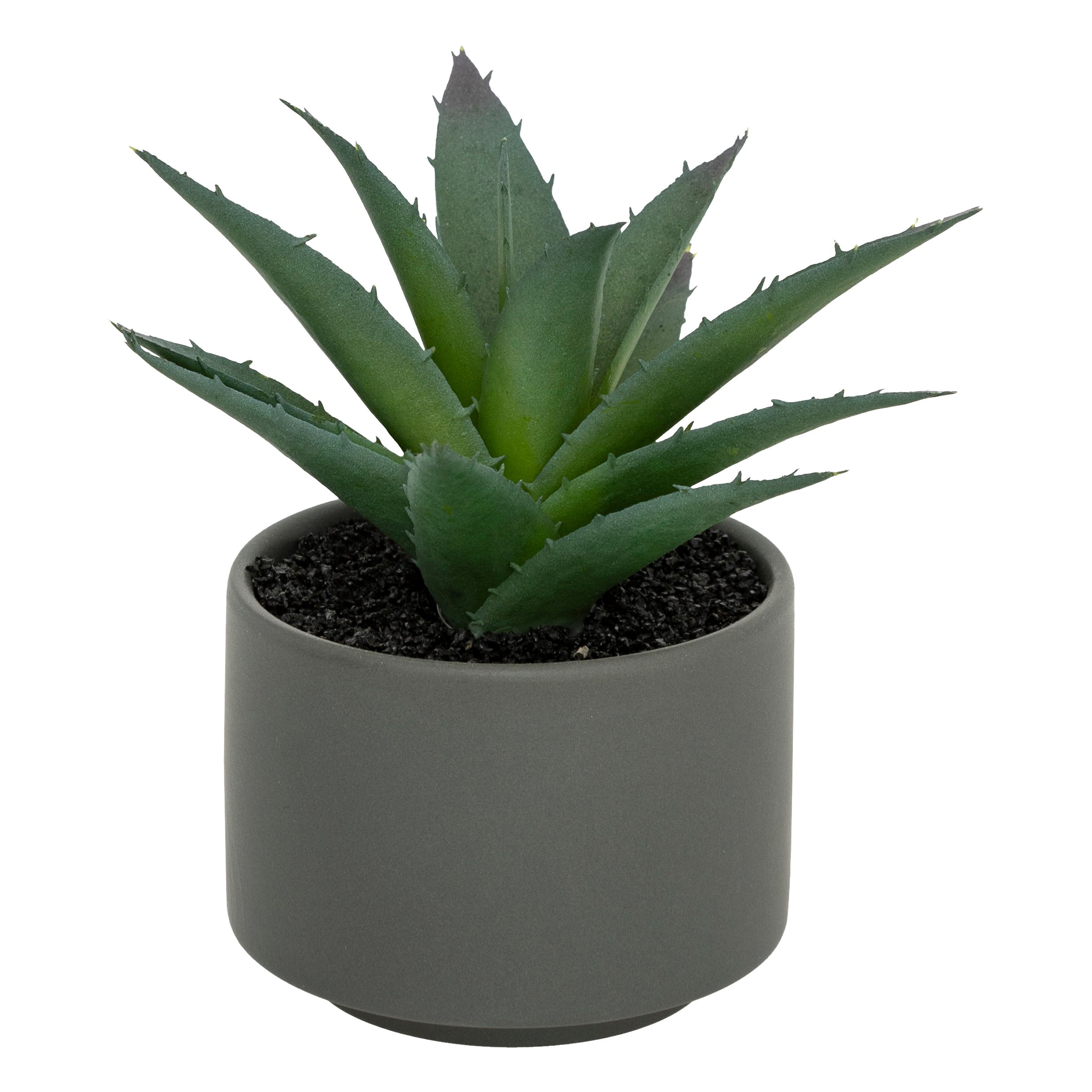 Floare decorativa, suculenta cu ghiveci H13 cm - Atmosphera