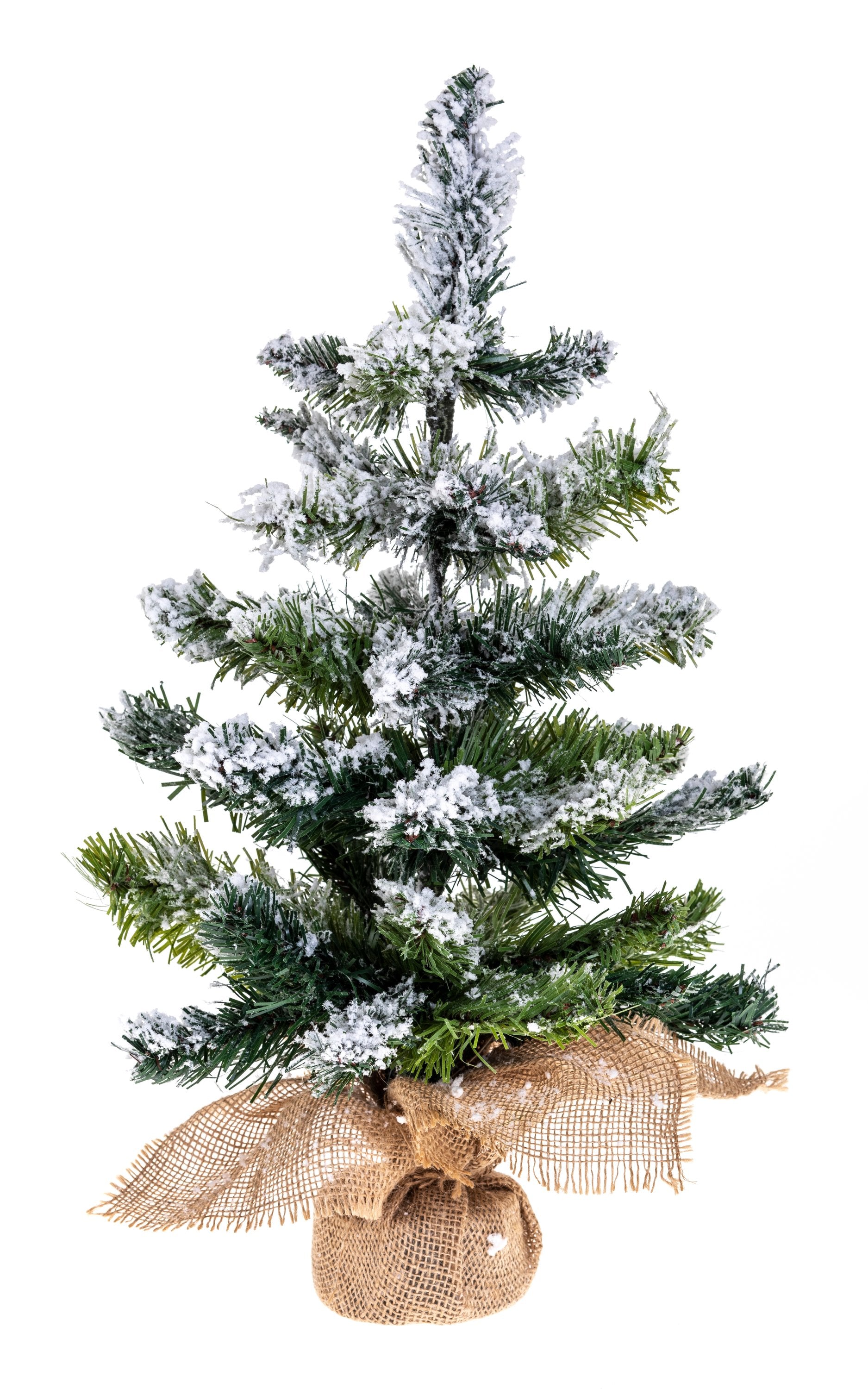 Bradut nins inflorit, H 50 cm | Feeric