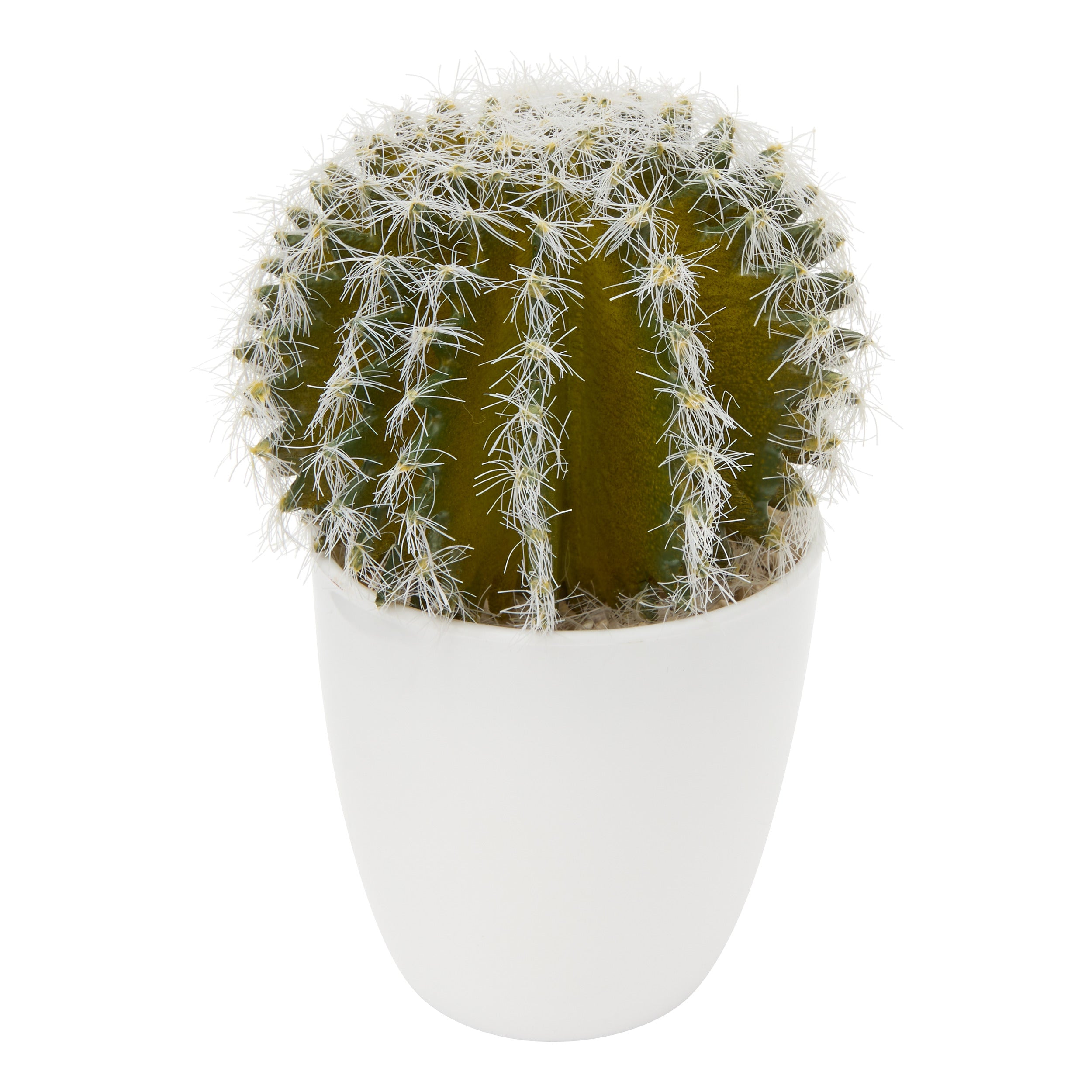 Cutie cactus suculent - Atmosphera