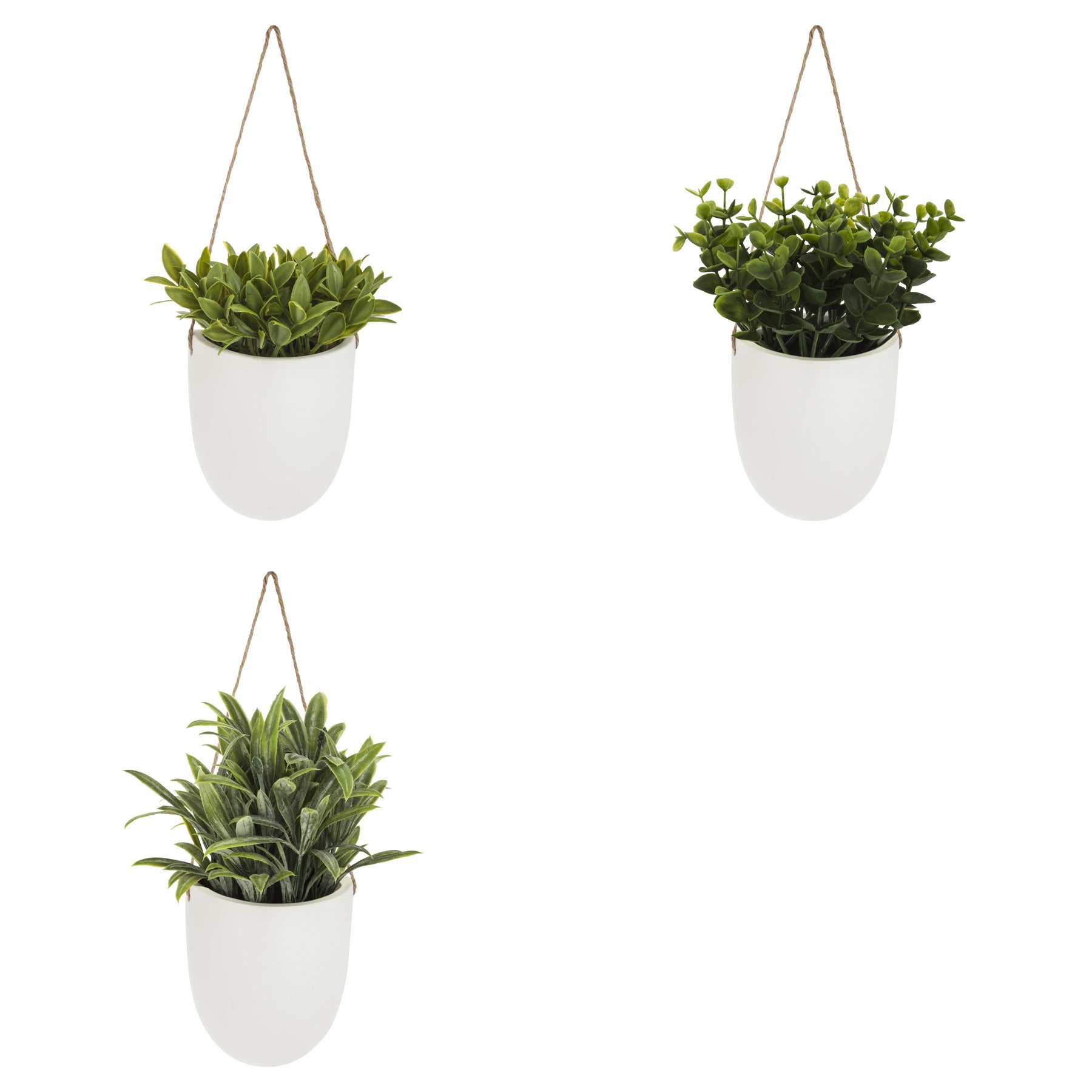 Floare decorativa, planta agatata perete crmq H20 cm - Atmosphera