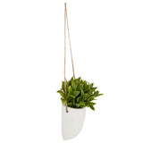 Floare decorativa, planta agatata perete crmq H20 cm - Atmosphera