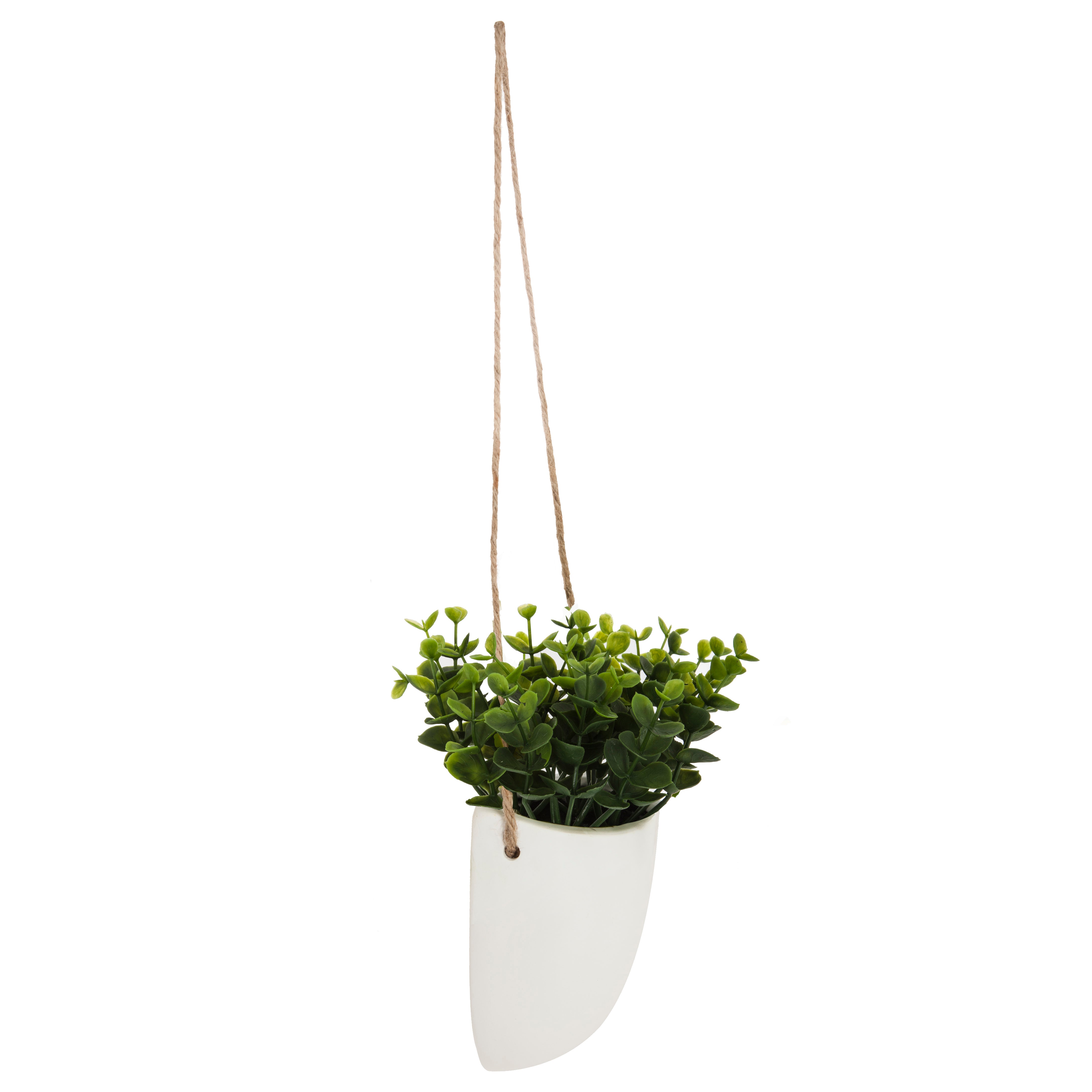 Floare decorativa, planta agatata perete crmq H20 cm - Atmosphera