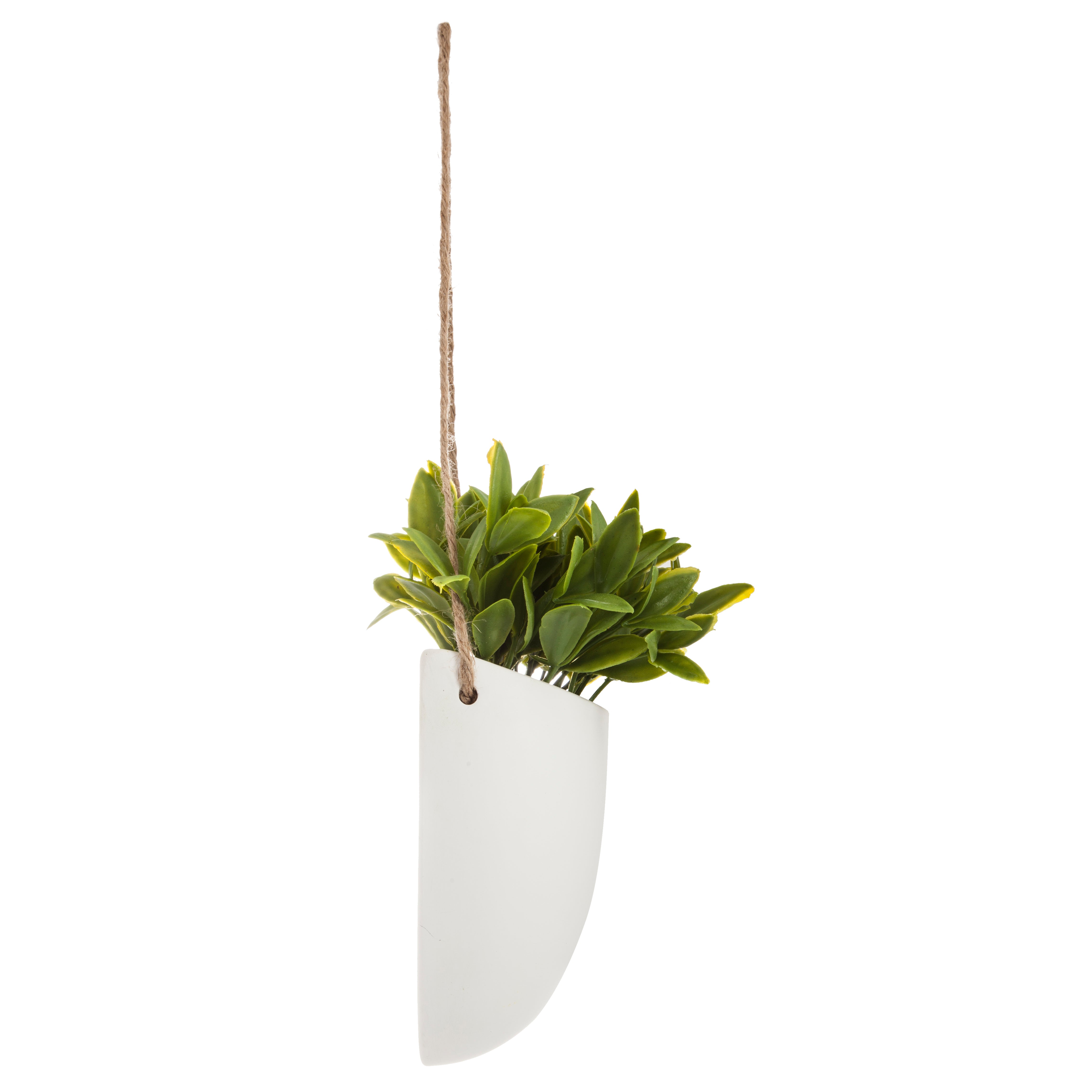 Floare decorativa, planta agatata perete crmq H20 cm - Atmosphera