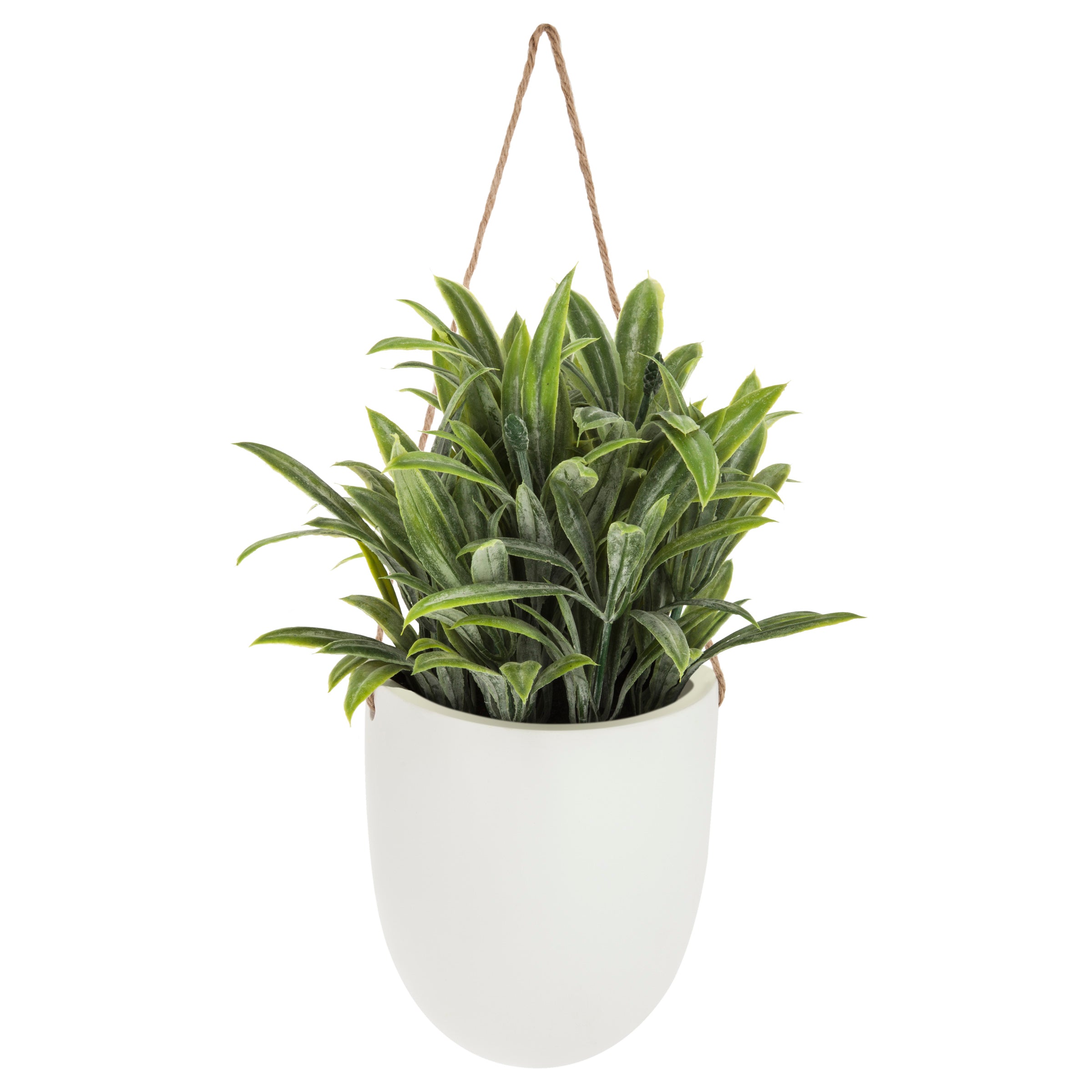 Floare decorativa, planta agatata perete crmq H20 cm - Atmosphera