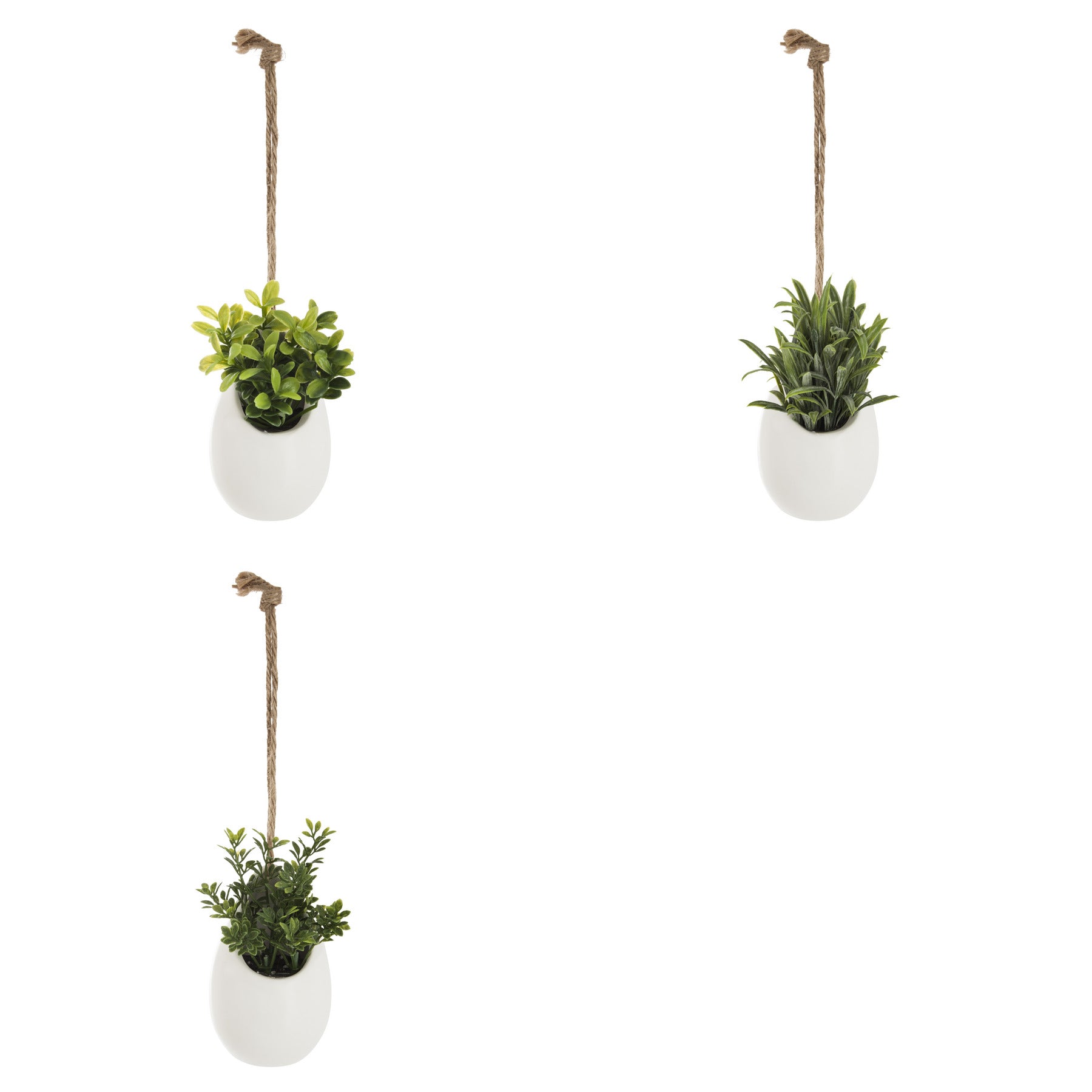 Floare decorativa, planta mica pot crmq H10 cm - Atmosphera