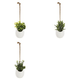 Floare decorativa, planta mica pot crmq H10 cm - Atmosphera