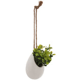 Floare decorativa, planta mica pot crmq H10 cm - Atmosphera