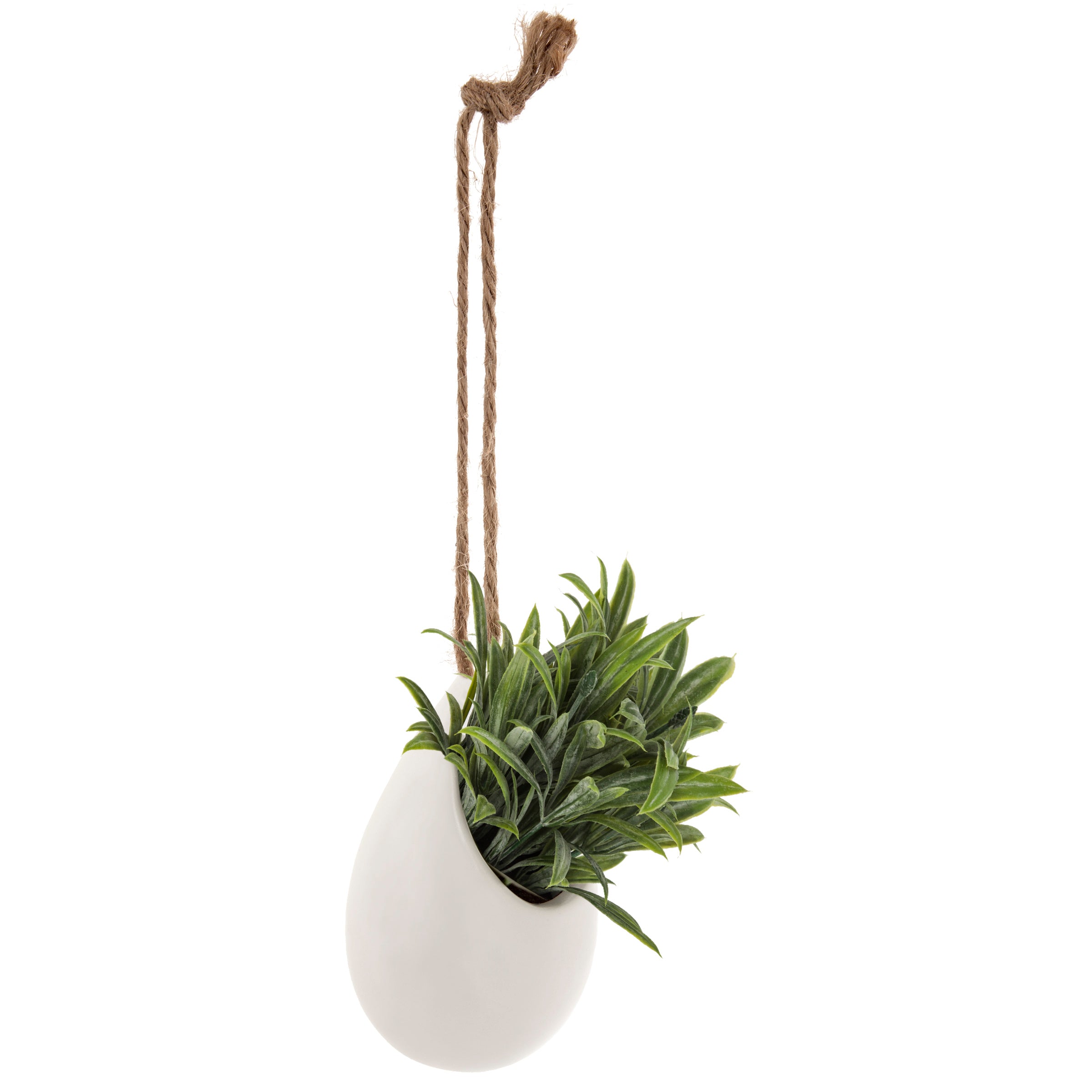 Floare decorativa, planta mica pot crmq H10 cm - Atmosphera