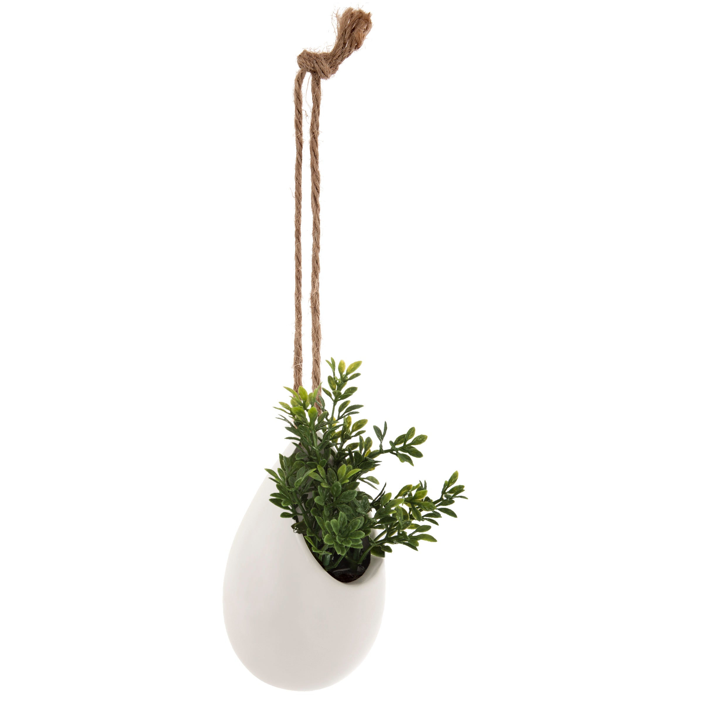 Floare decorativa, planta mica pot crmq H10 cm - Atmosphera
