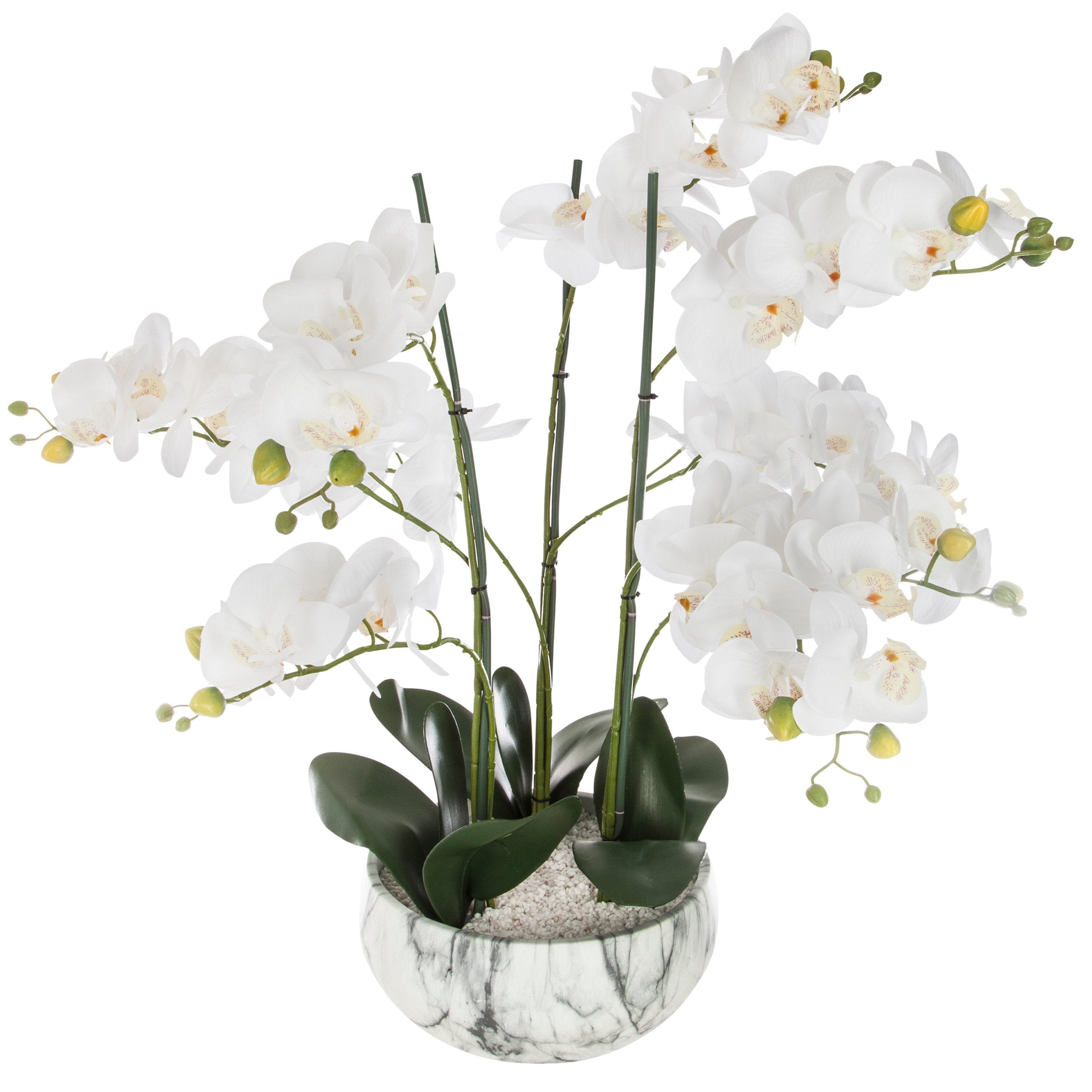 Orhidee 65 cm inaltime cu ghiveci din ciment efect marmura Atmosphera